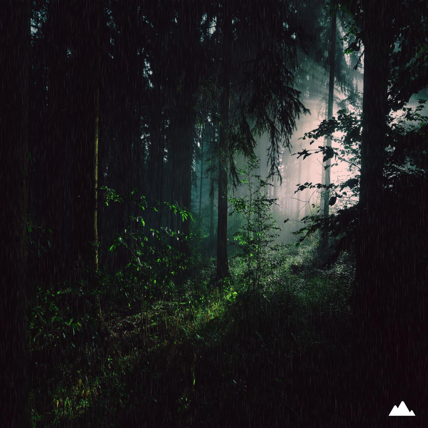 Magic Forest