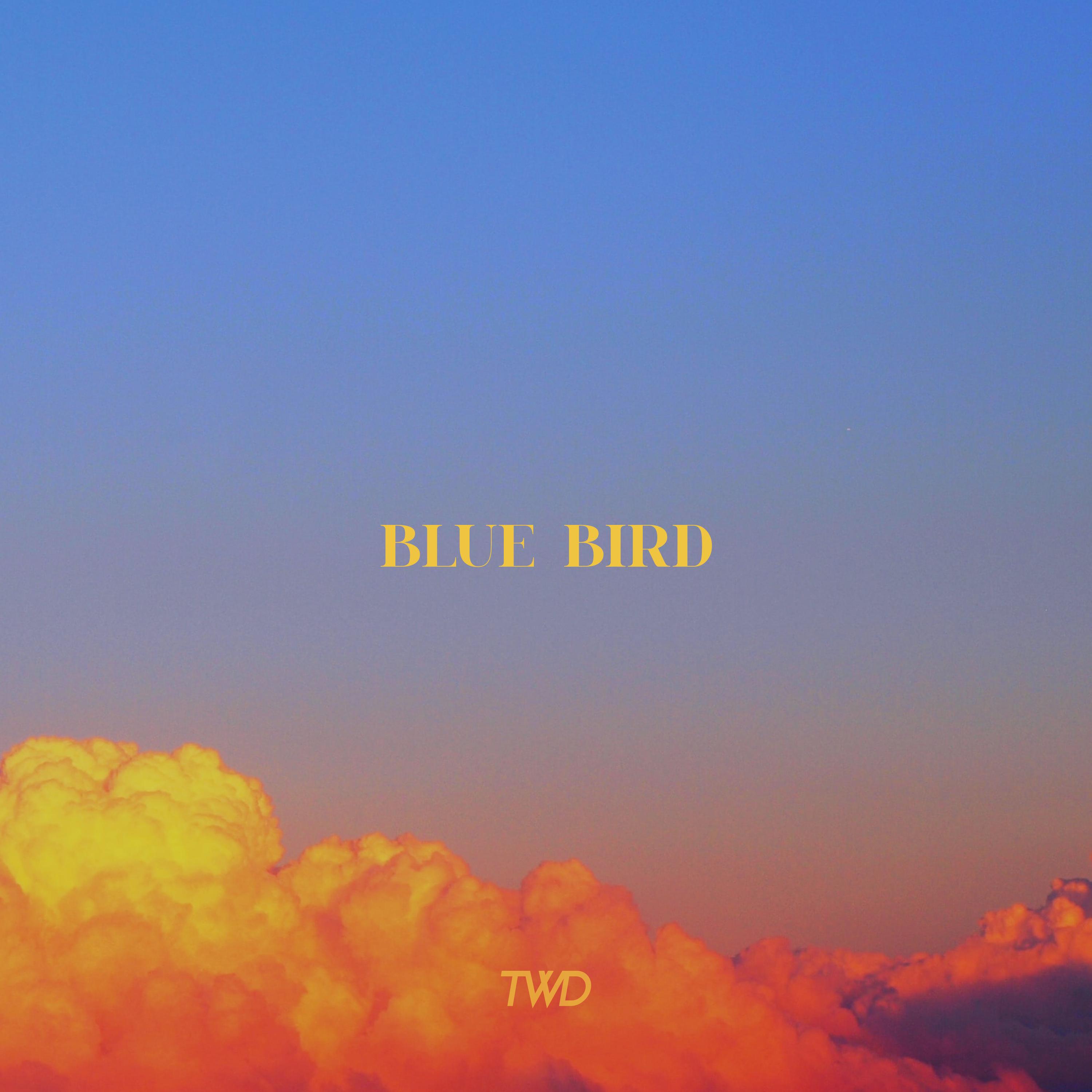 Blue Bird