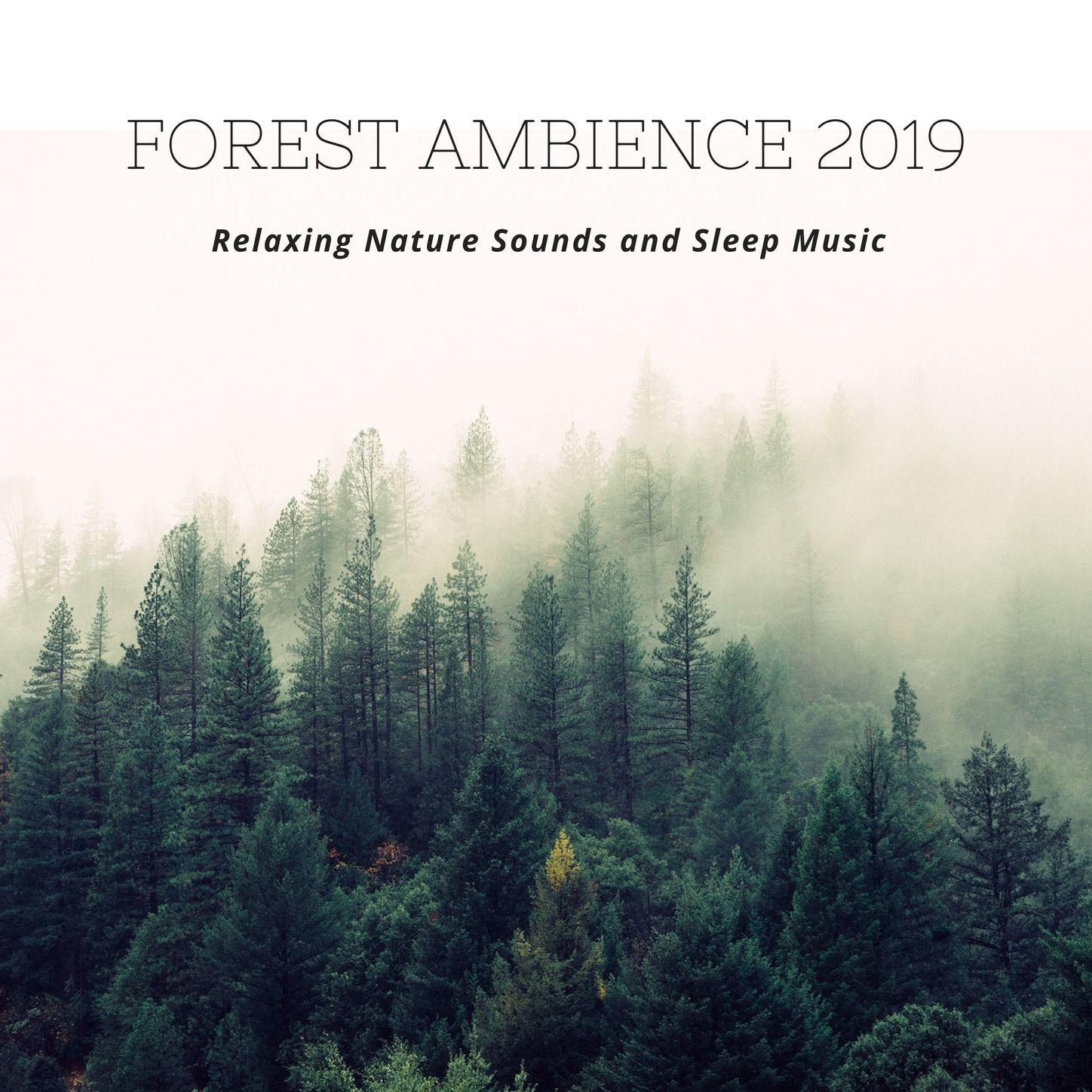 New Age Sleep