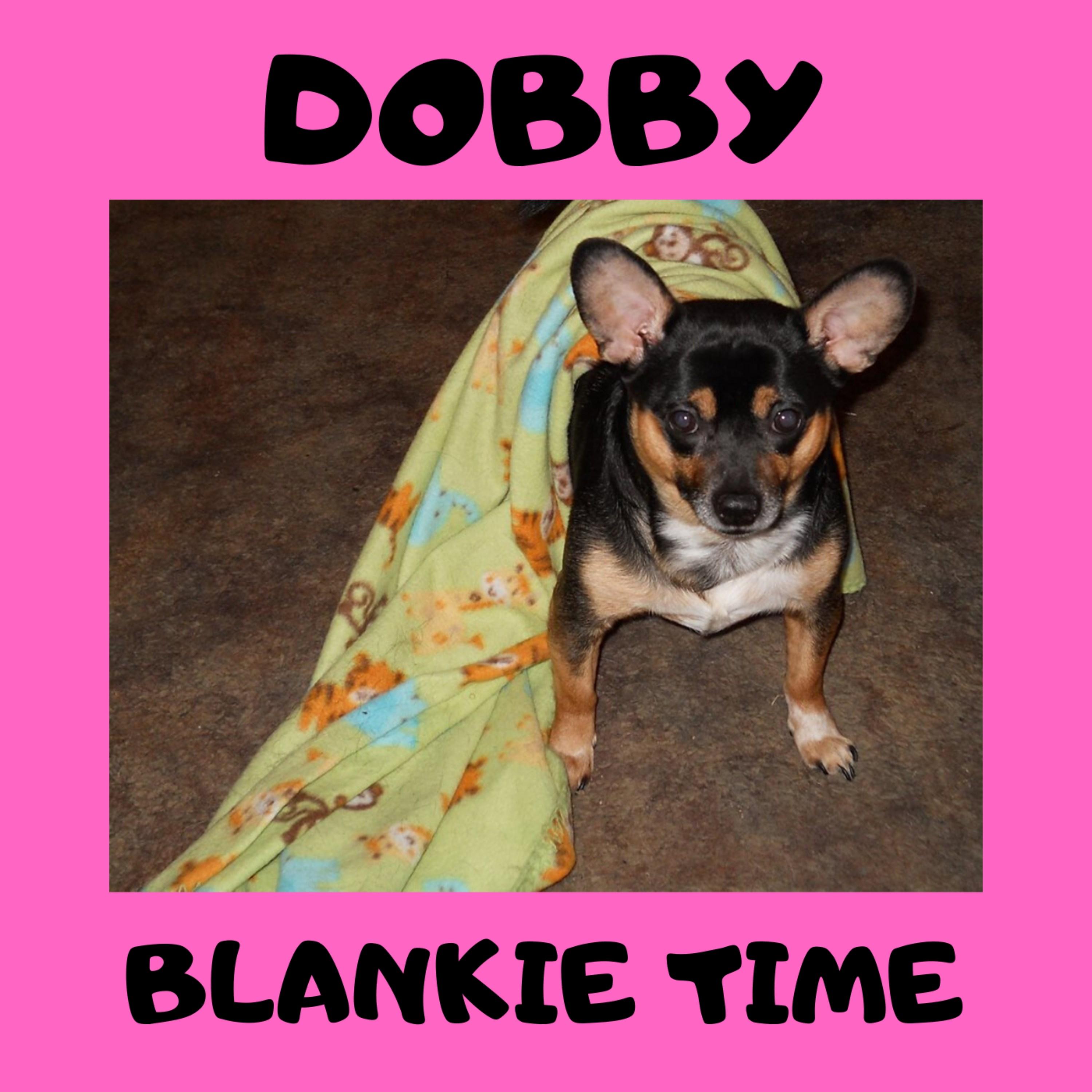 Dobby - Blankie Time