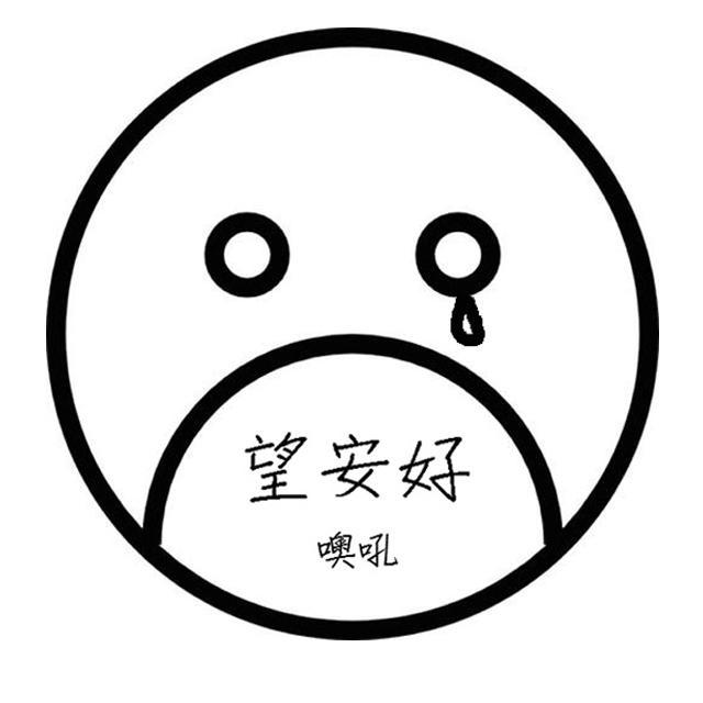 wang an hao