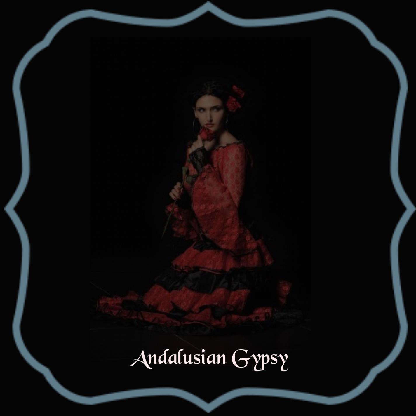Andalusian Gypsy