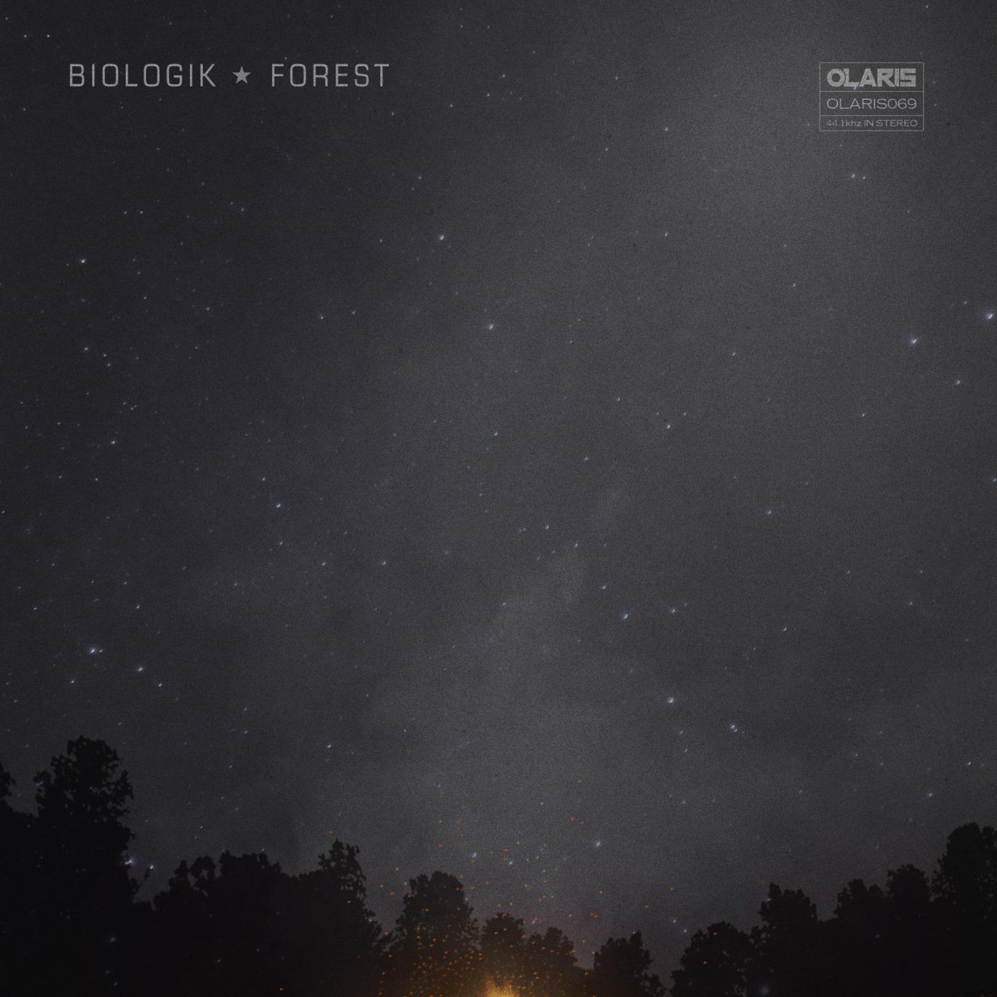 The Forest