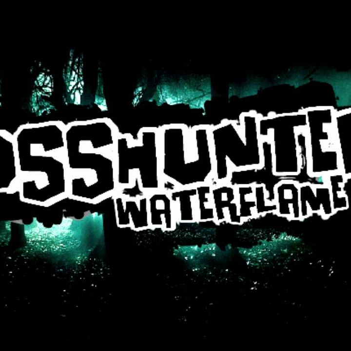 Bosshunter