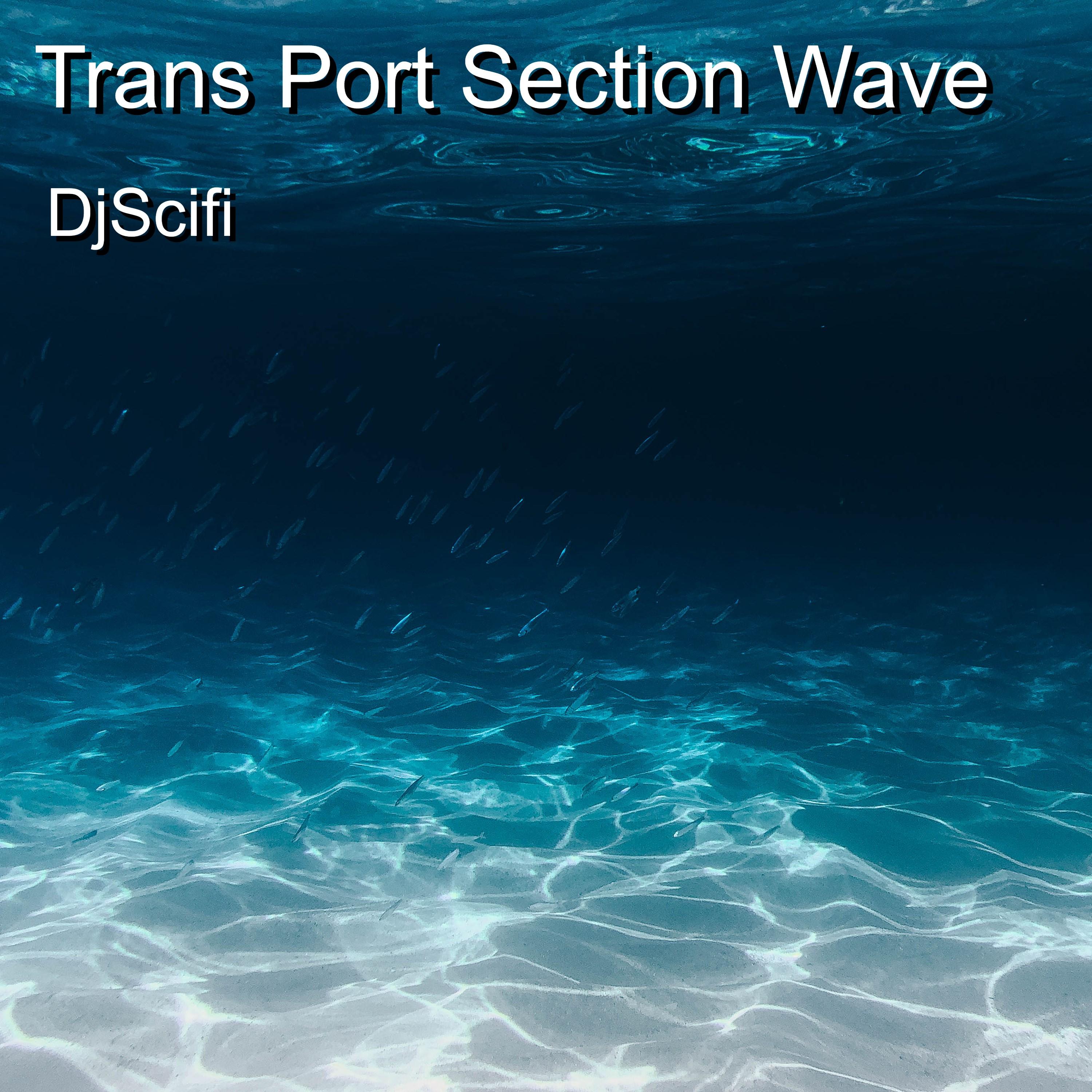 Trans Port Section Wave