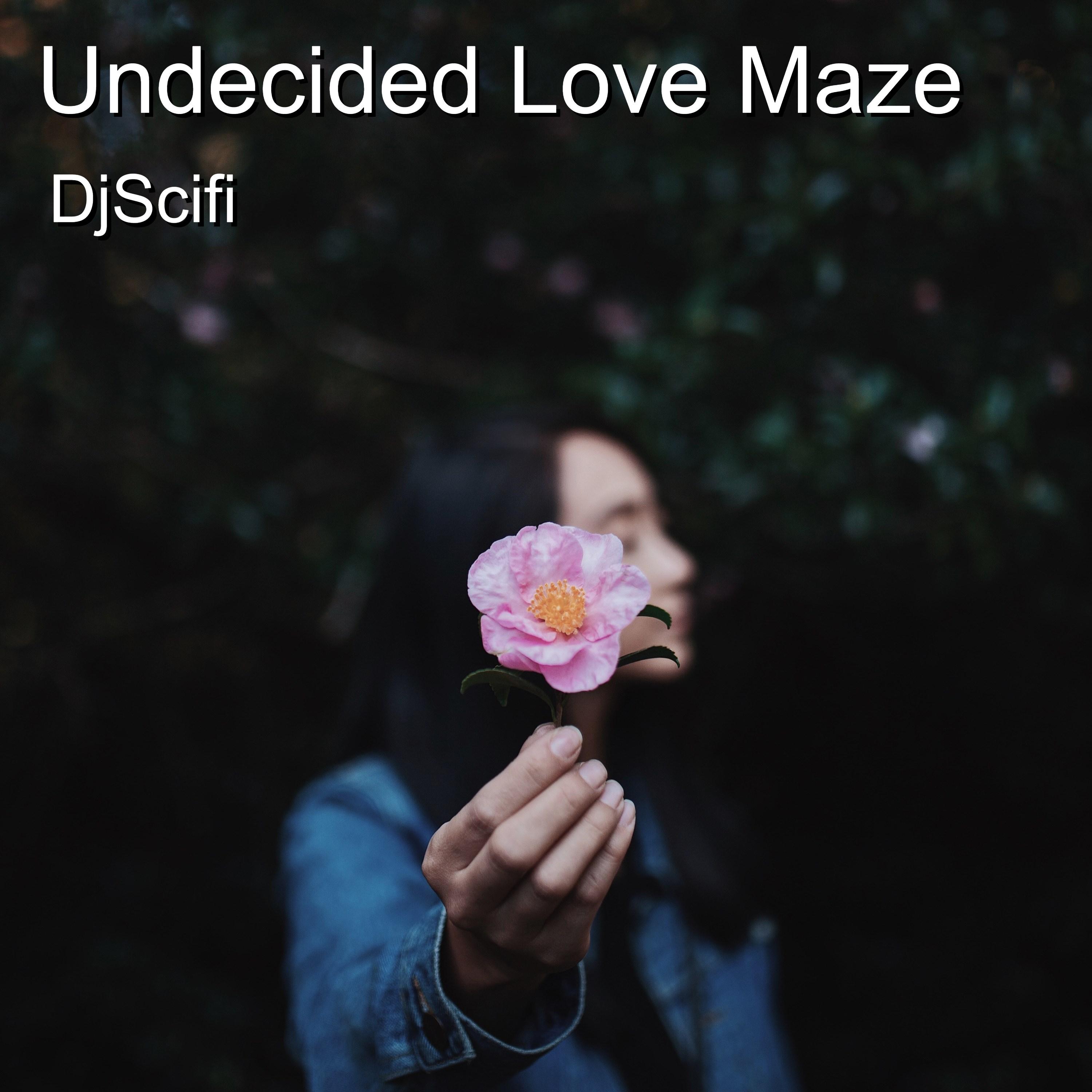 Undecided Love Maze