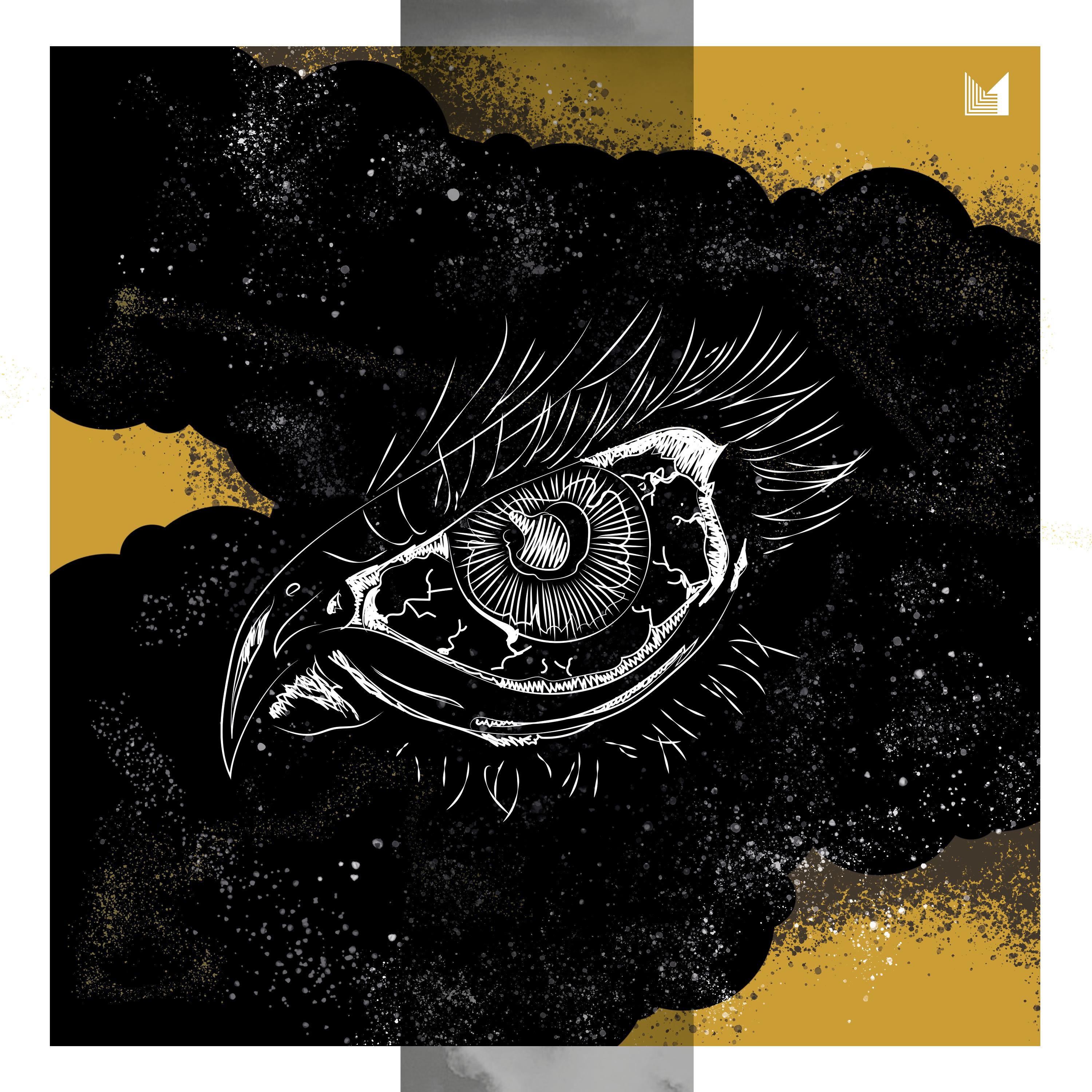 Salt Owl