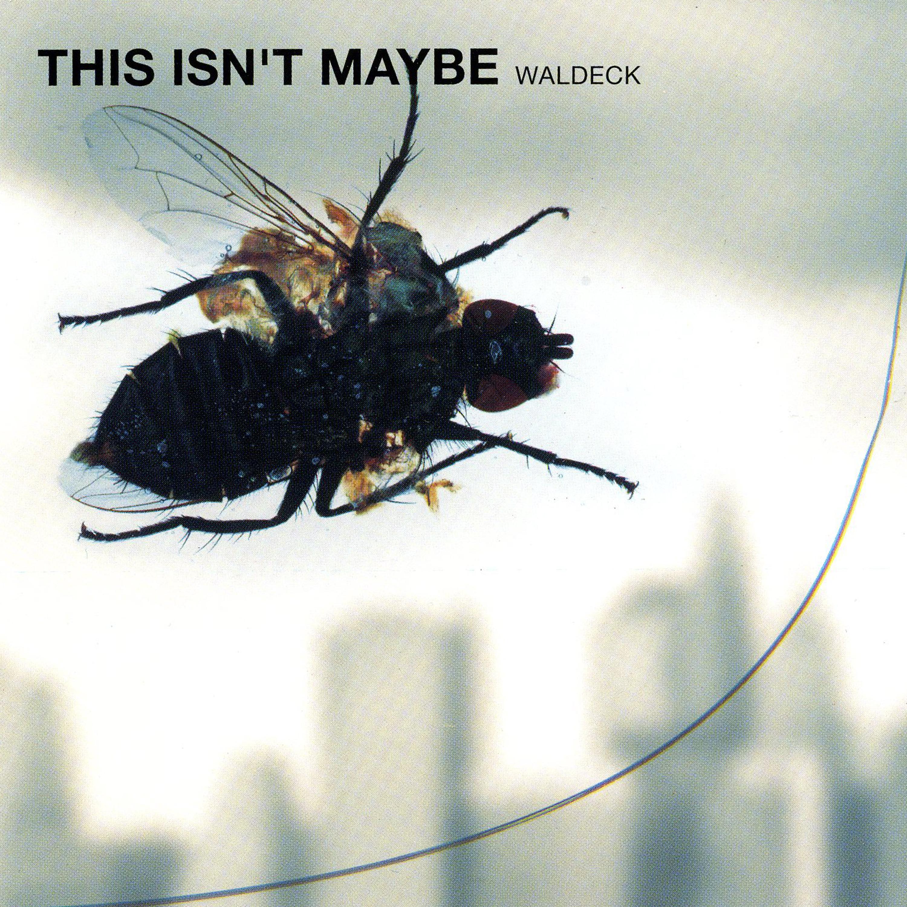 This Isn't Maybe