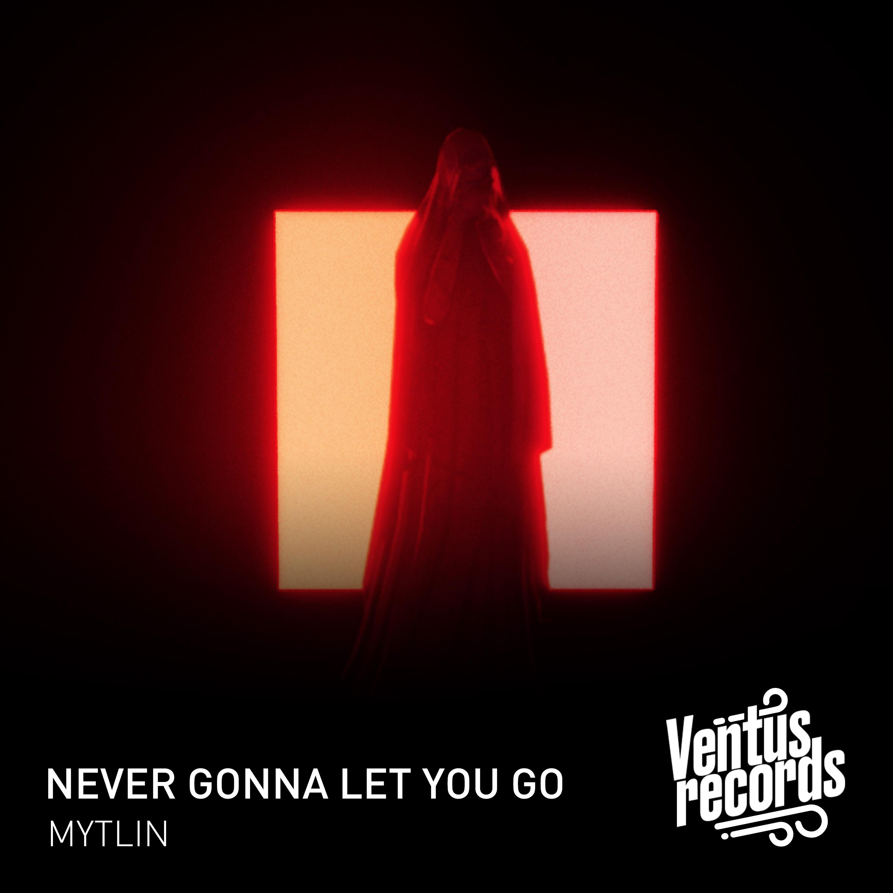Never Gonna Let You Go