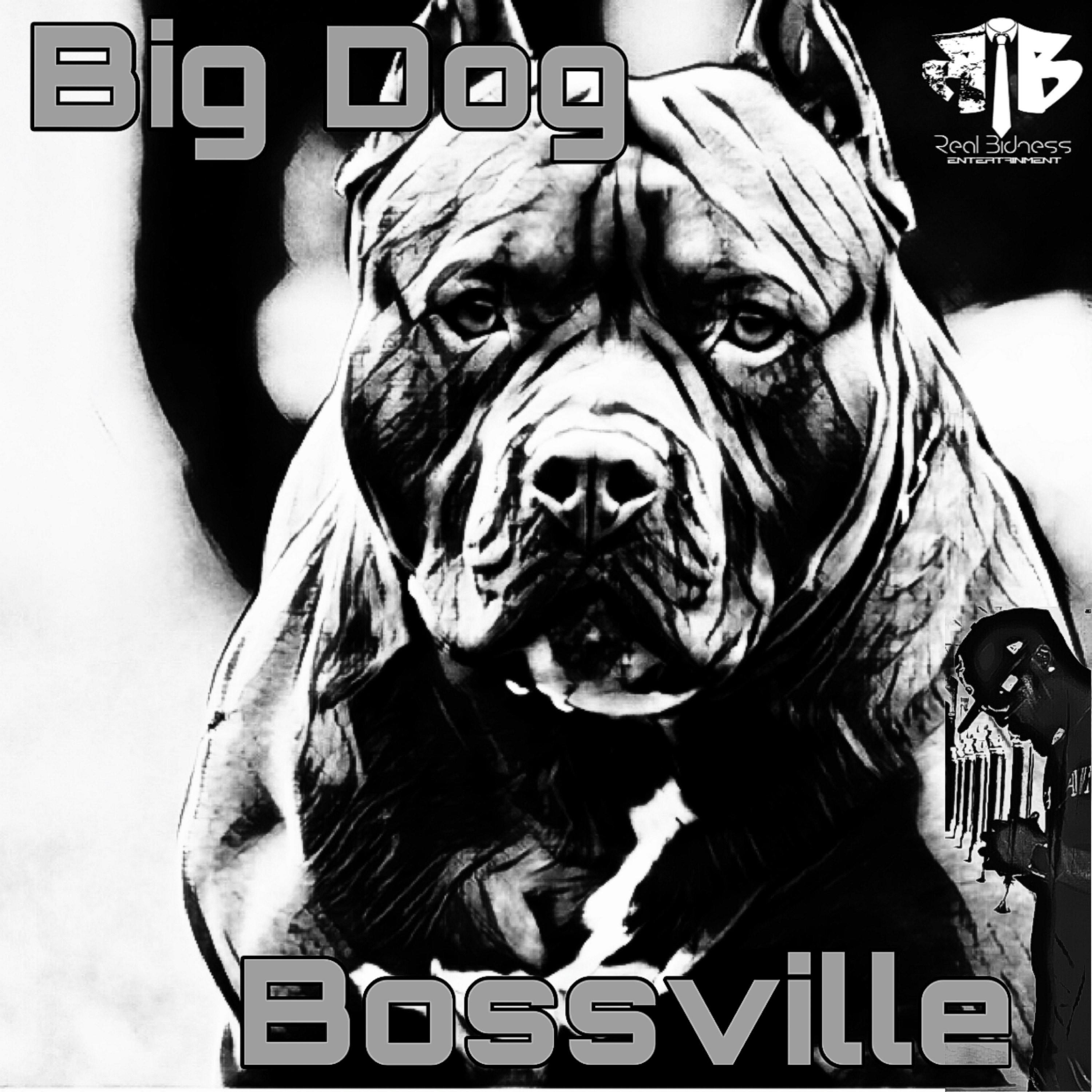 Big Dog