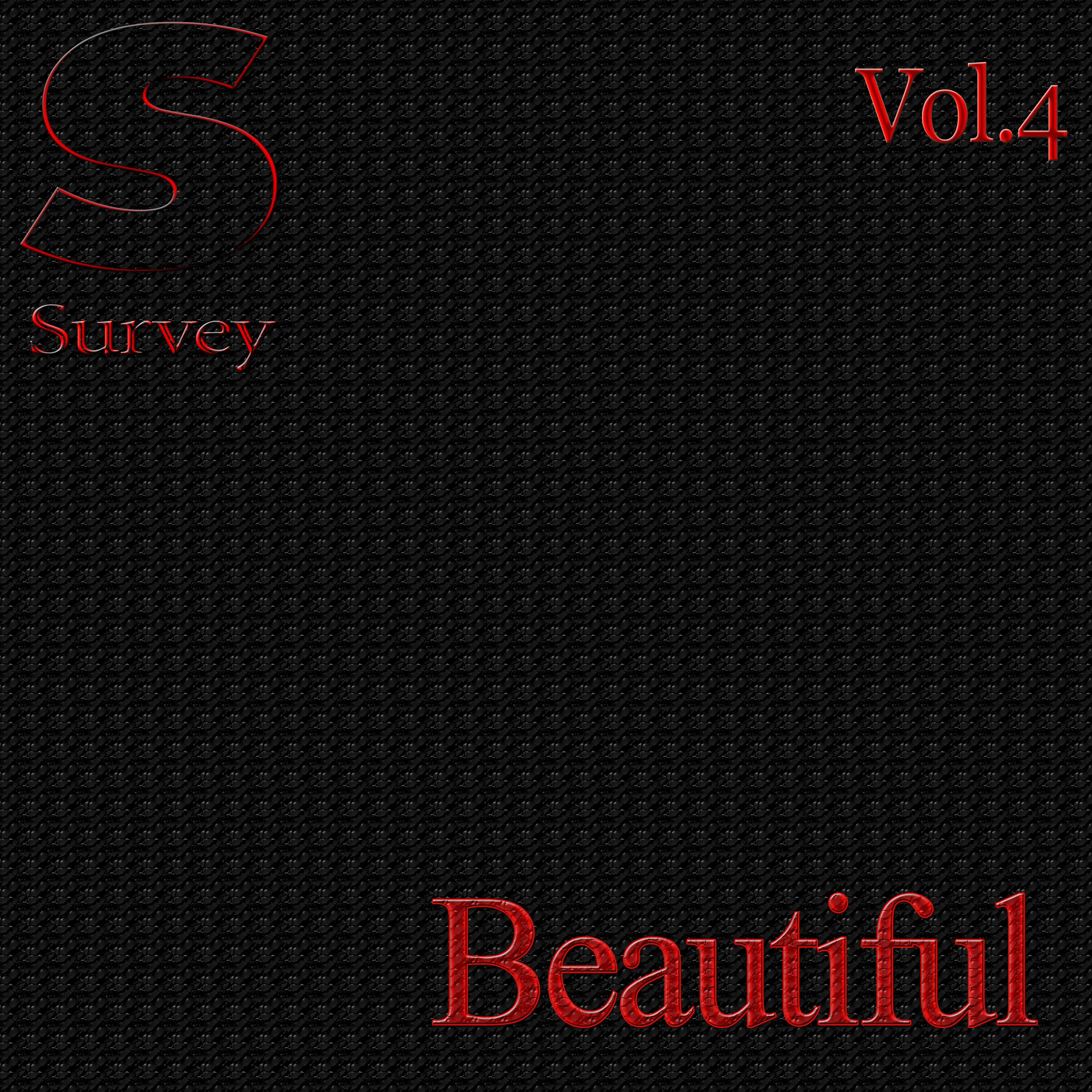 Beautiful, Vol.4