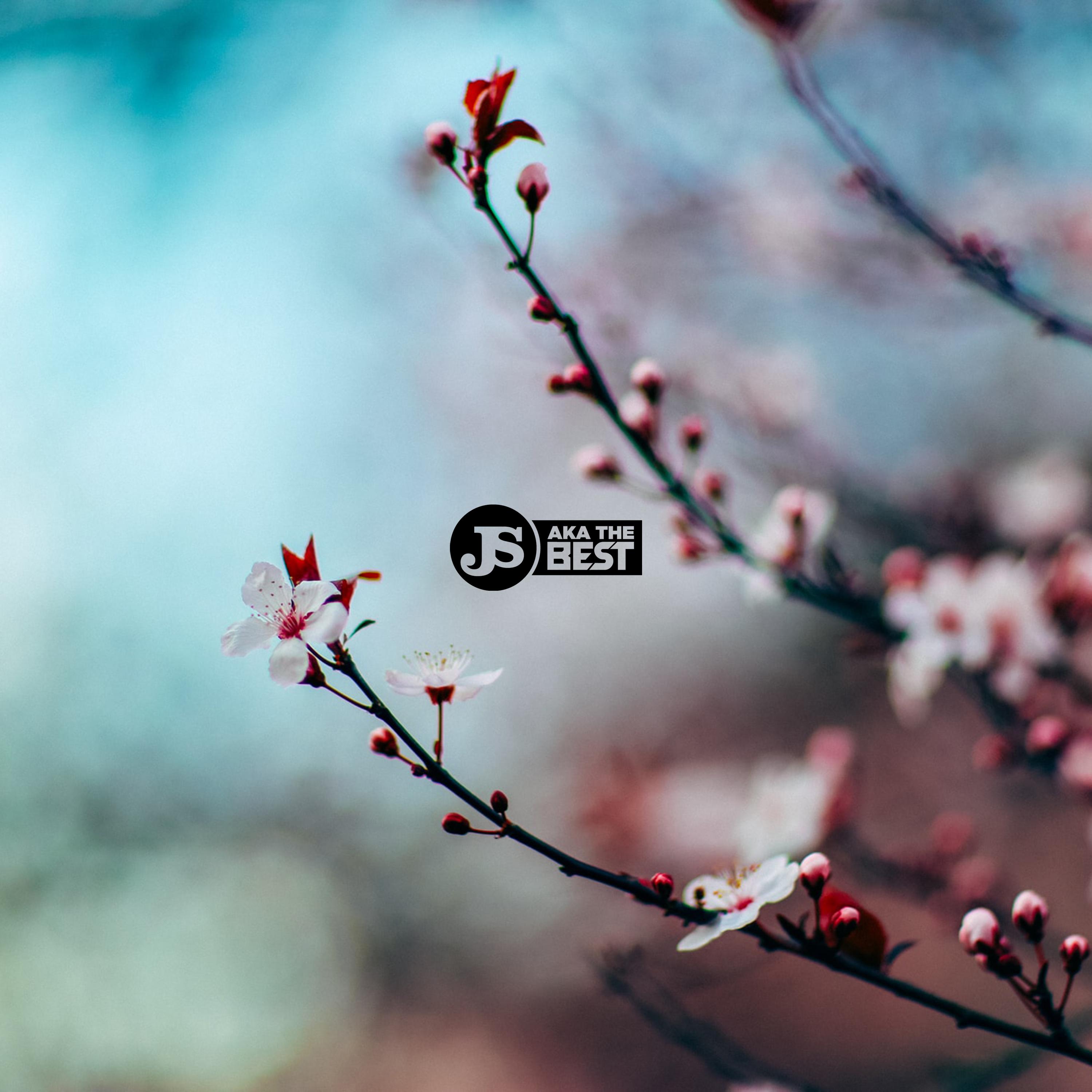 Spring Forward