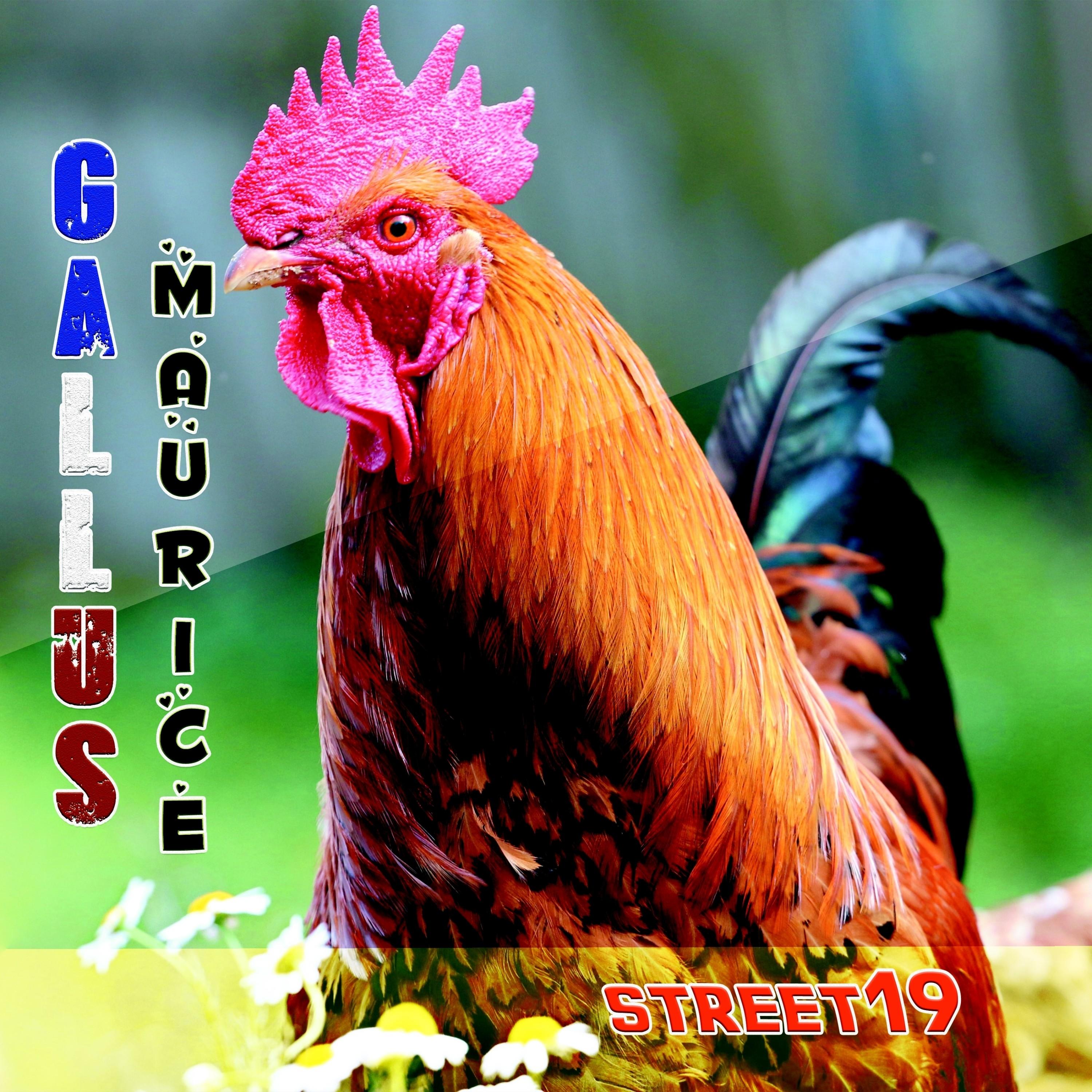 Gallus Maurice