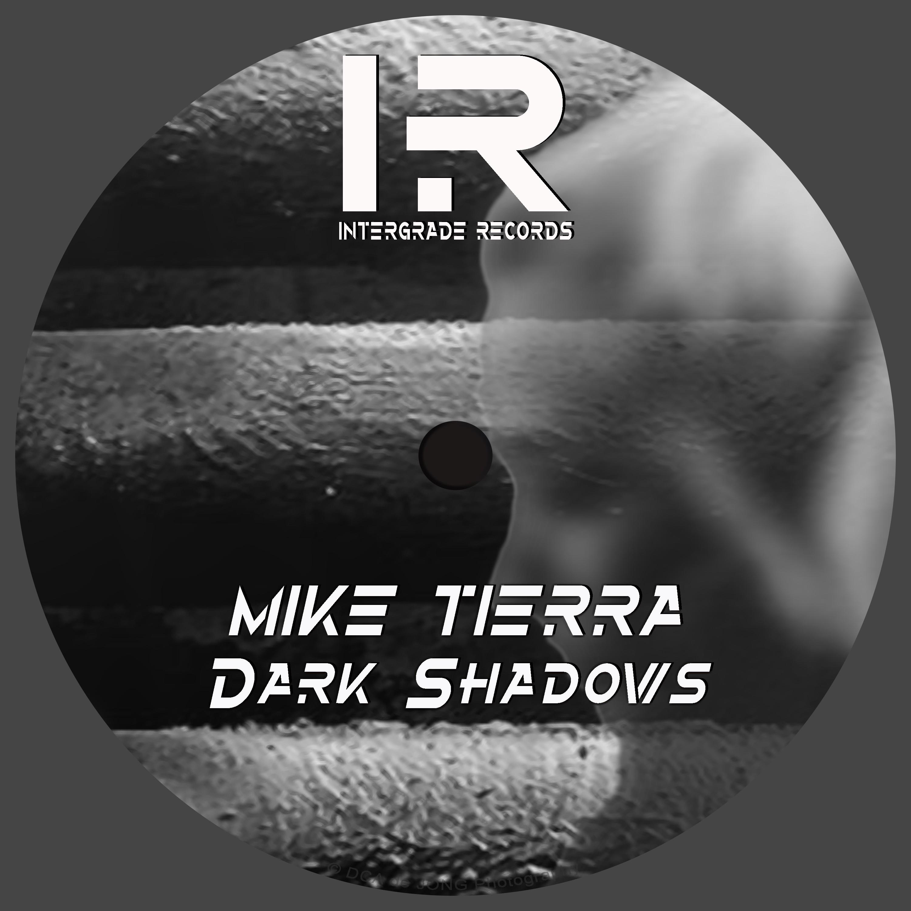 Dark Shadows