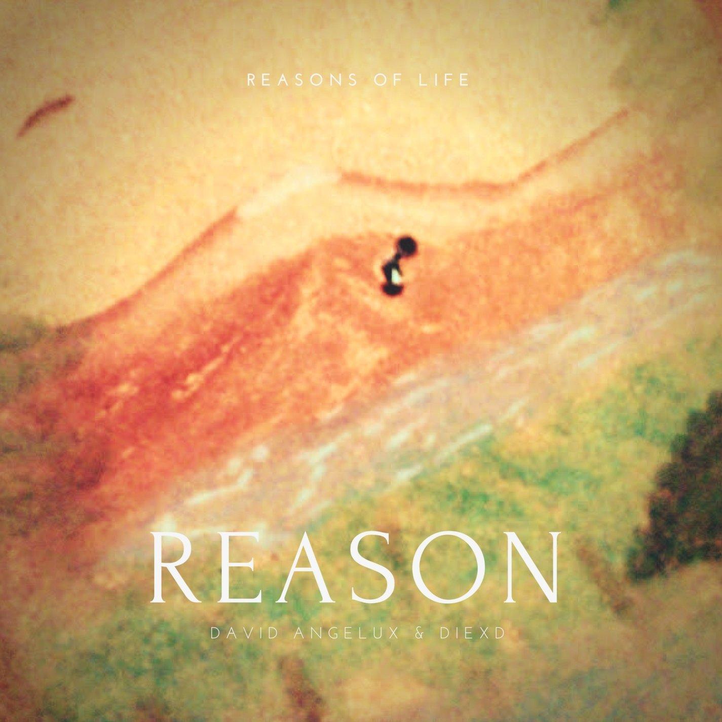 Reason