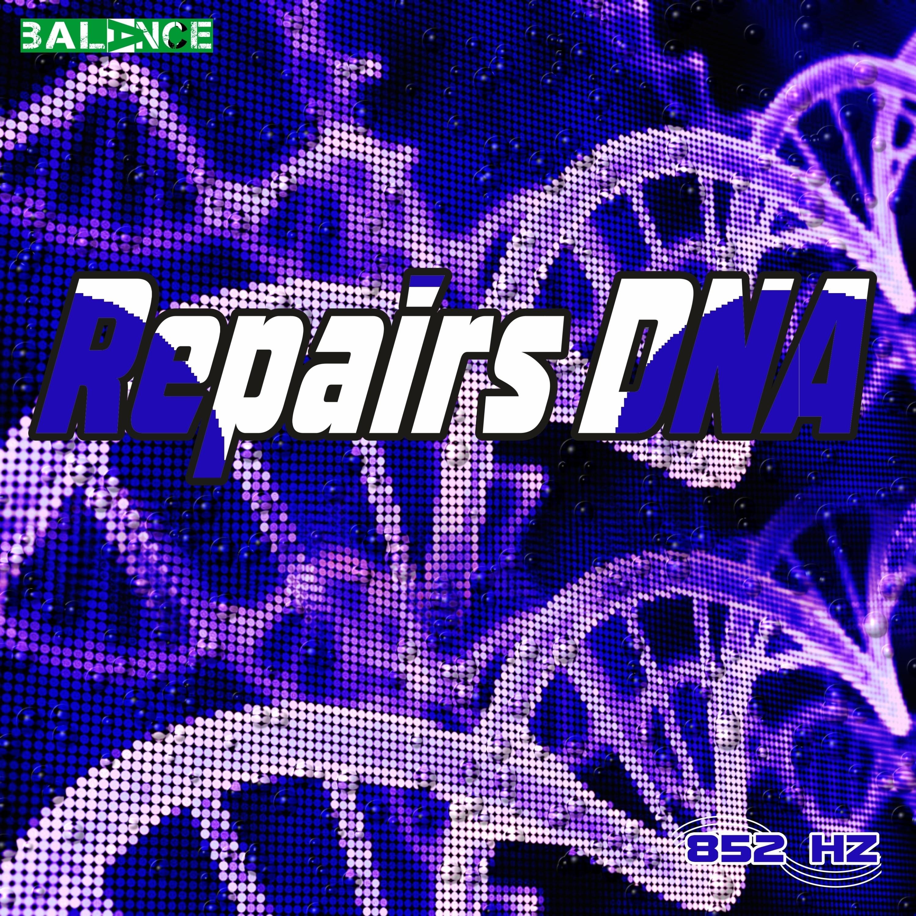Repairs DNA Phase 1