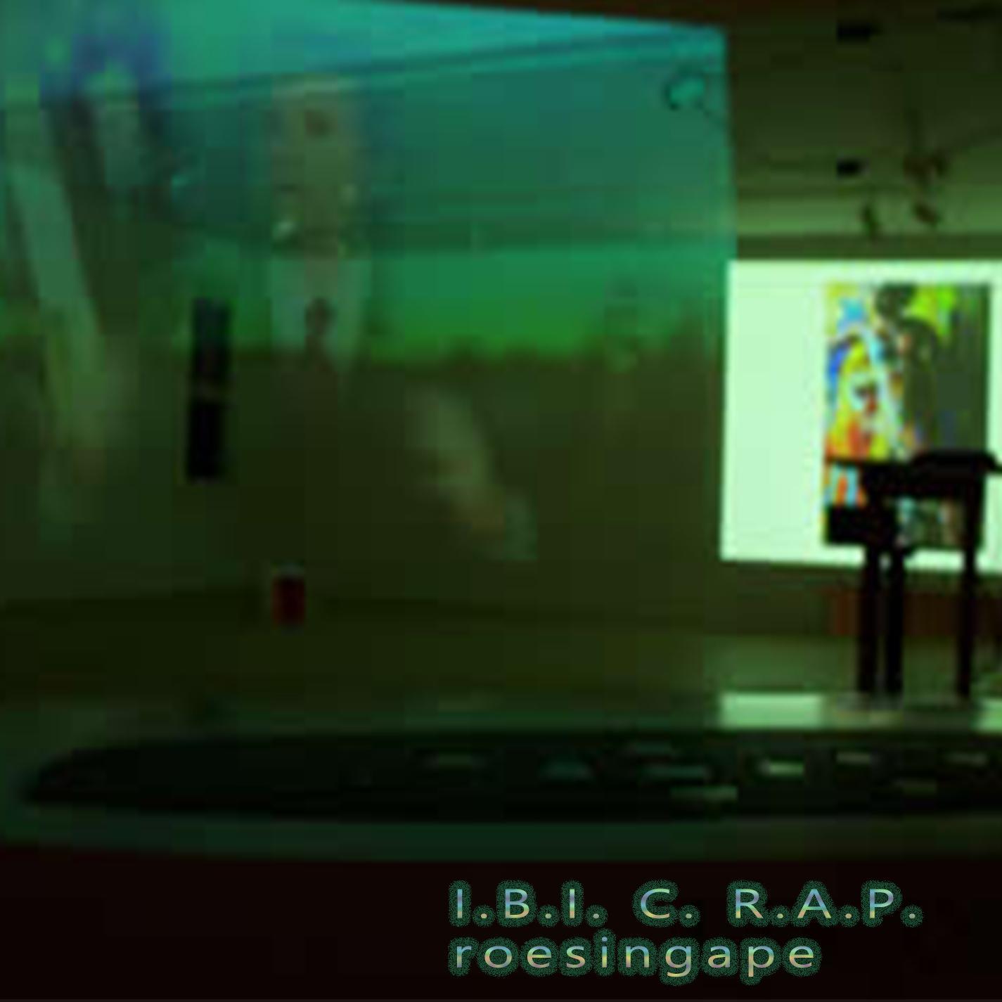 I.B.I. C.R.A.P.