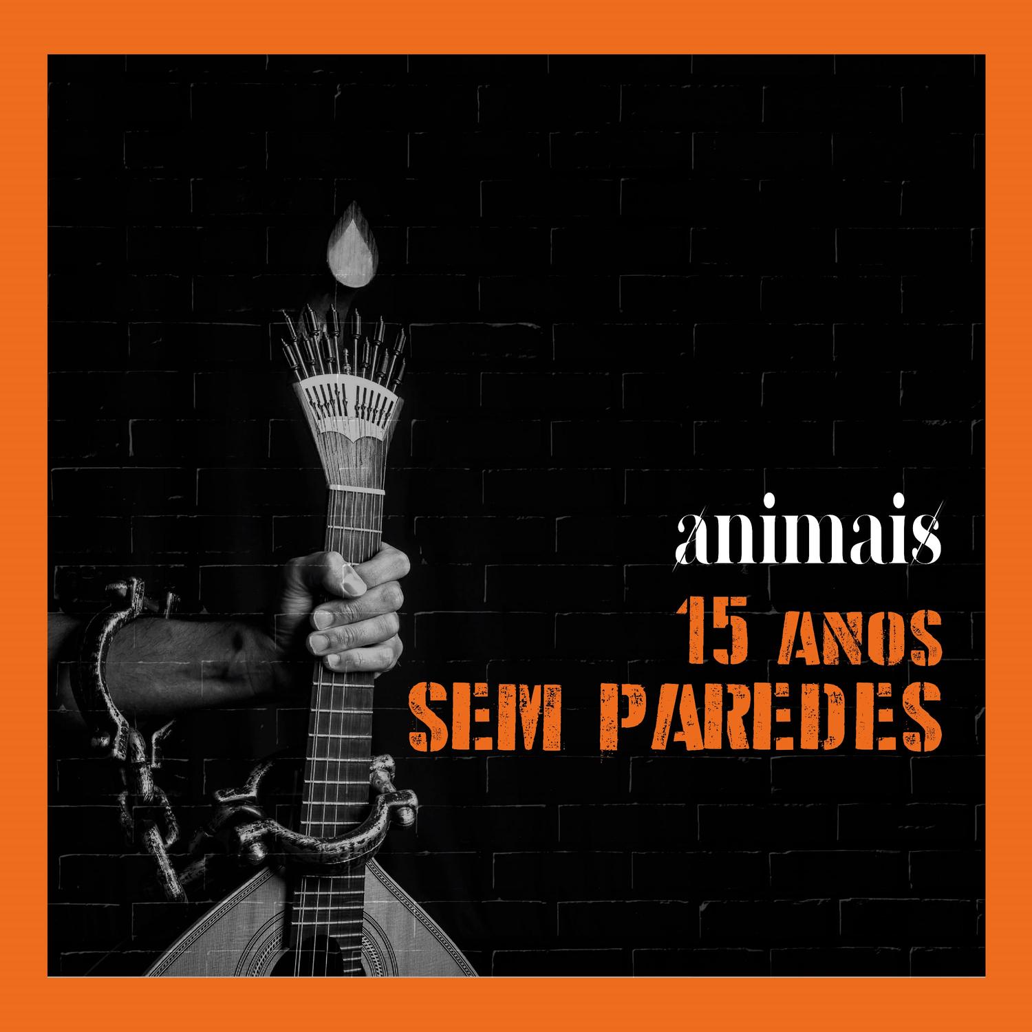 15 Anos Sem Paredes