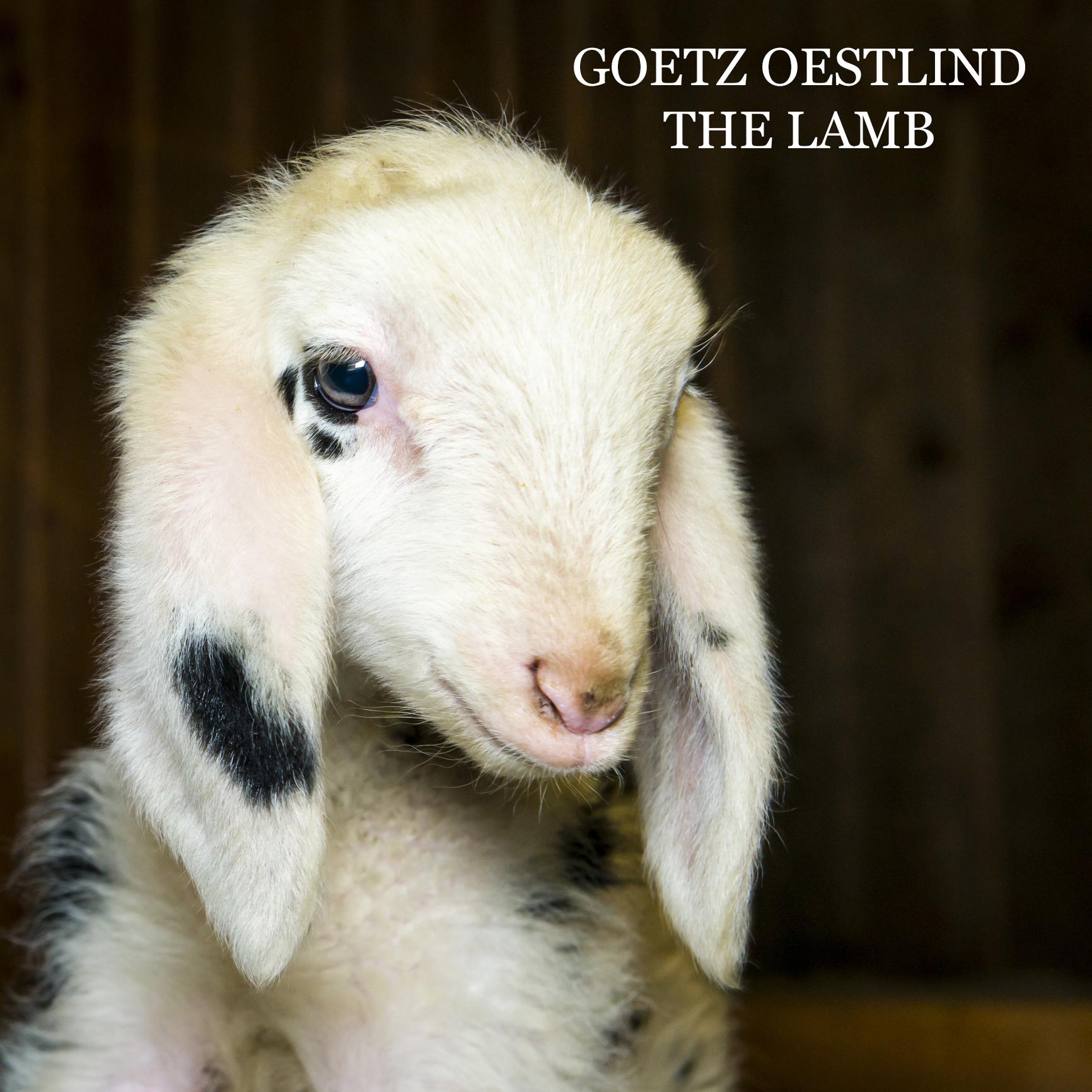 The Lamb