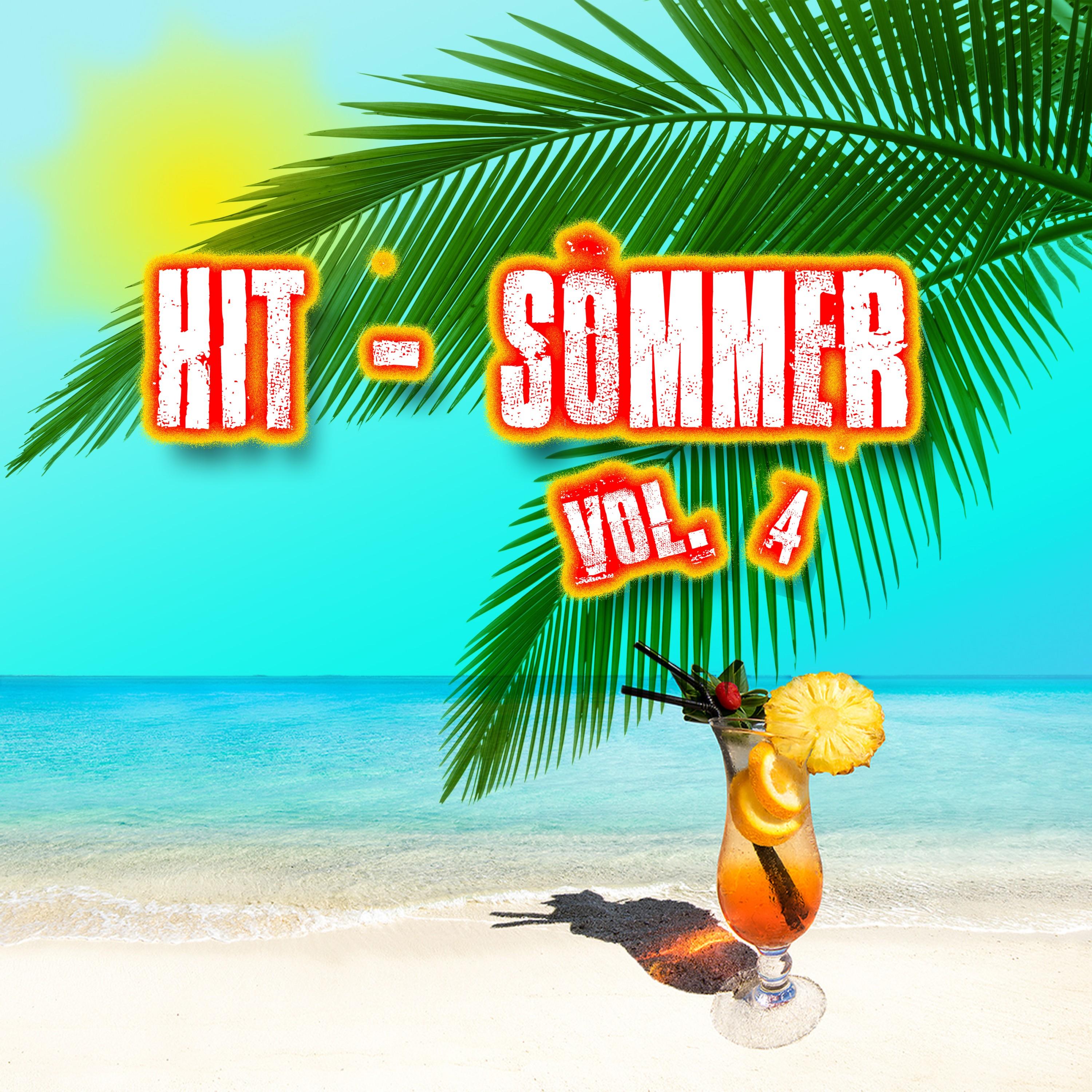 Hit-Sommer, Vol. 4