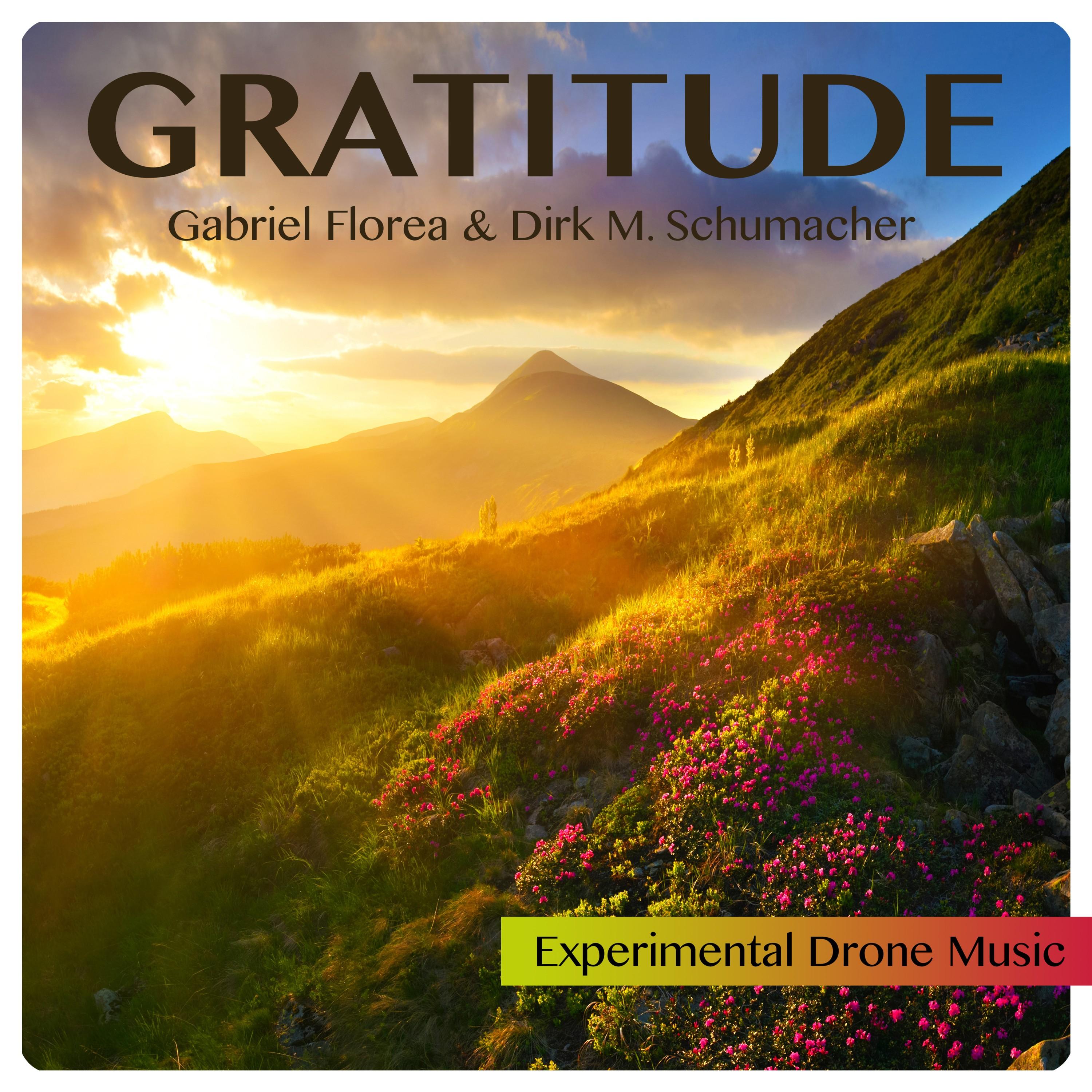 Gratitude