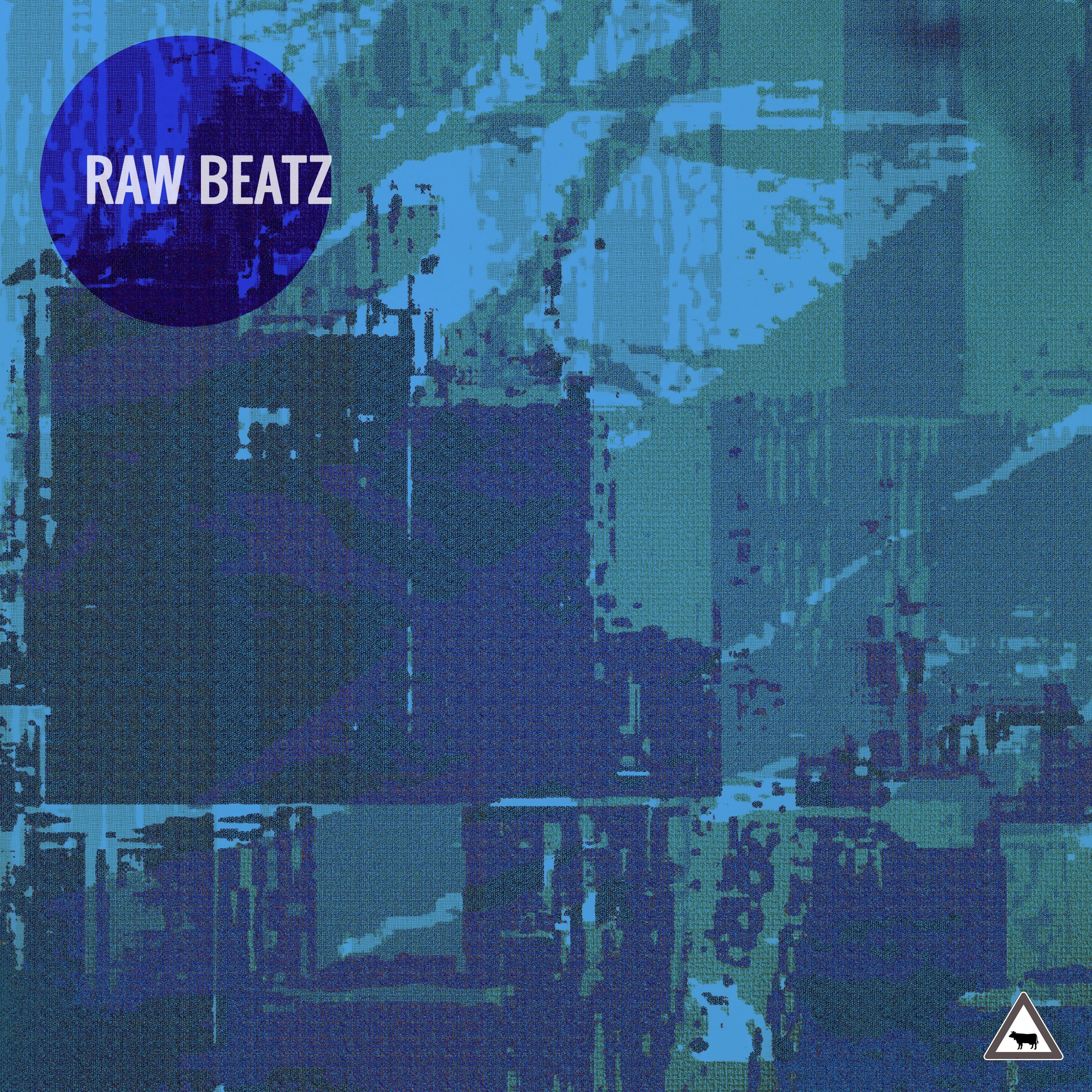 Raw Beatz