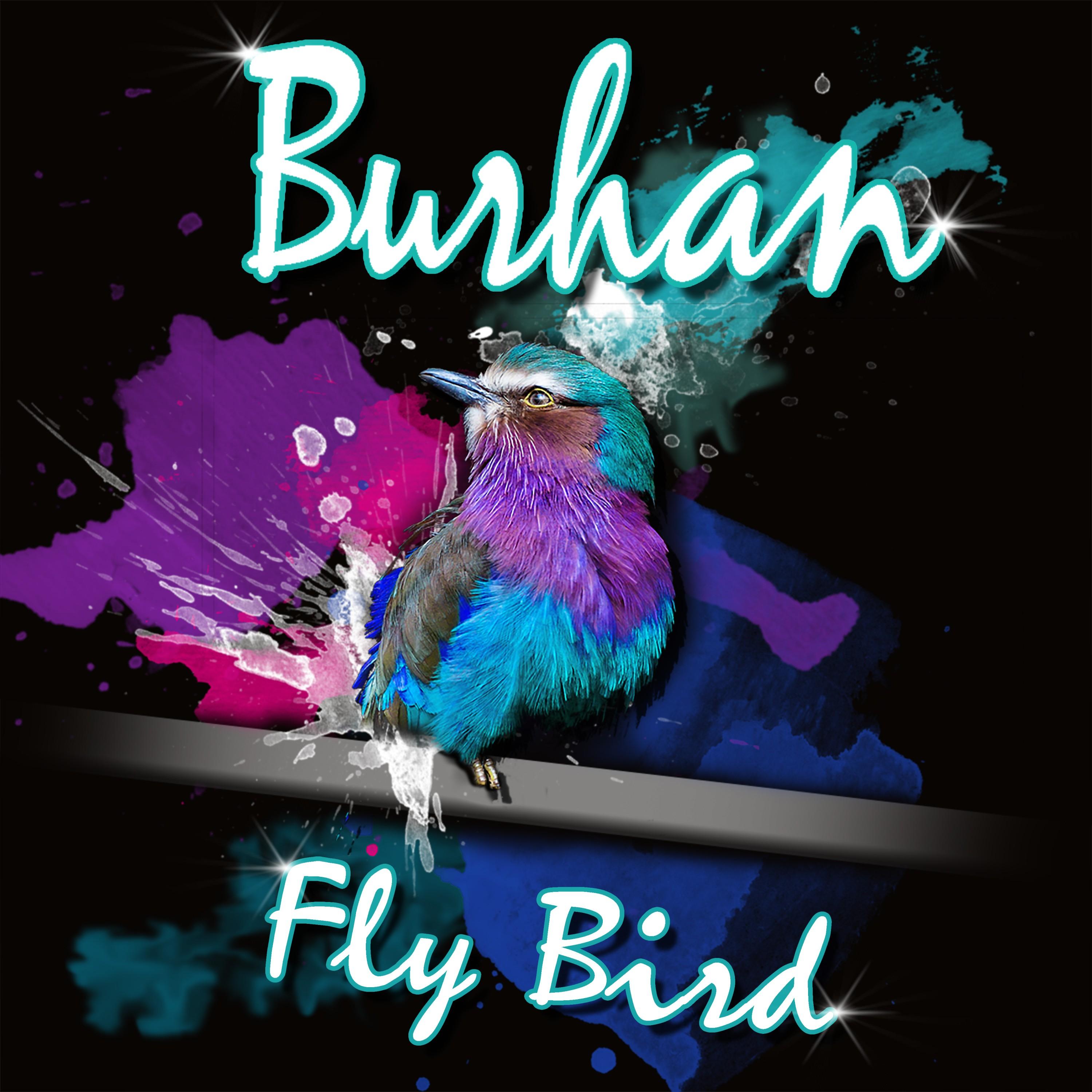 Fly Bird