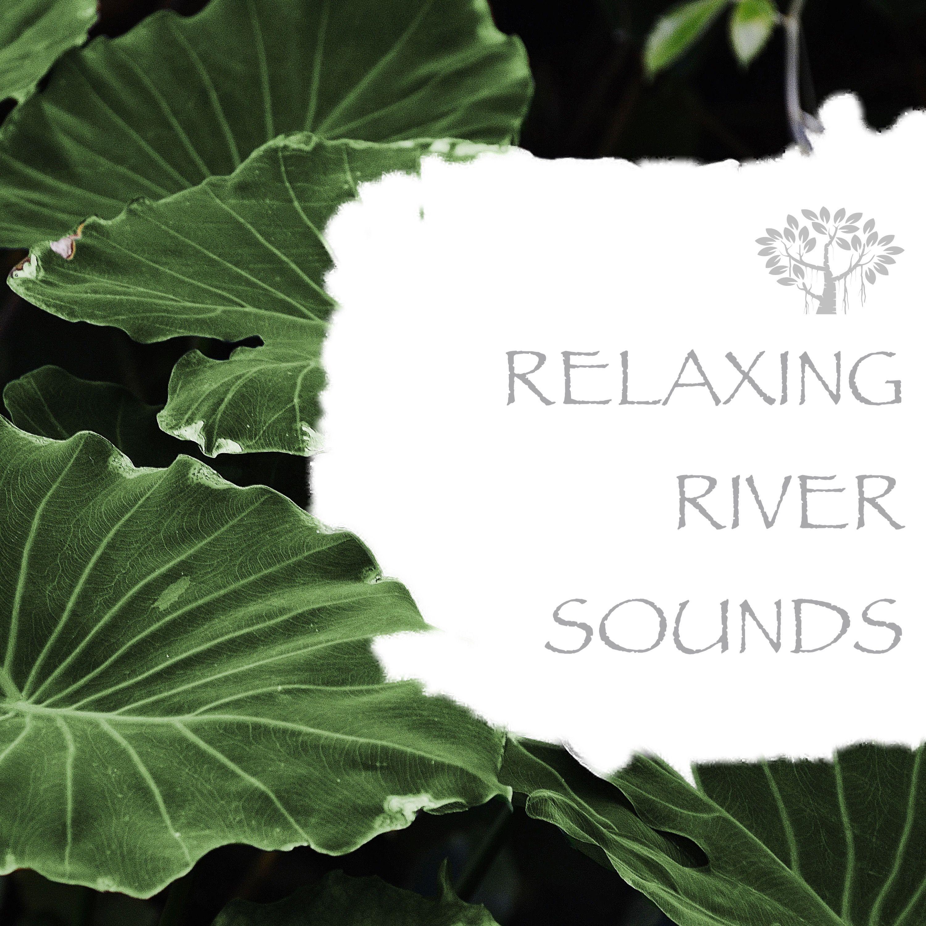 Nature Sounds - Autumn Stream