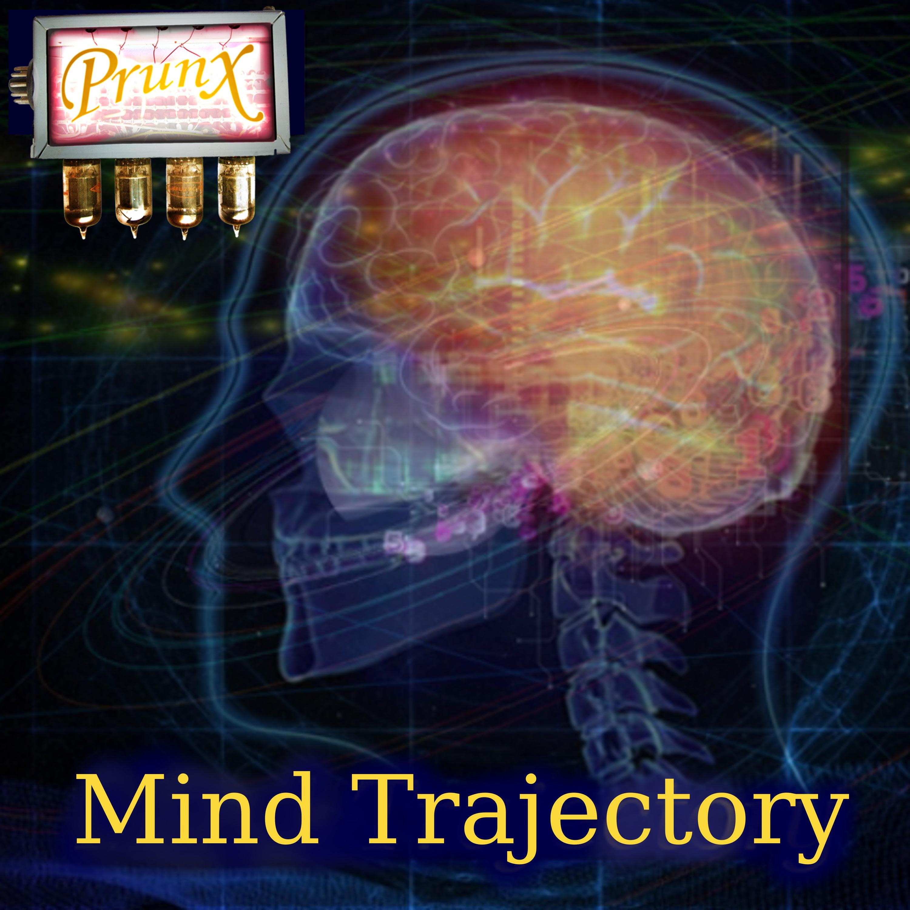 Mind Trajectory