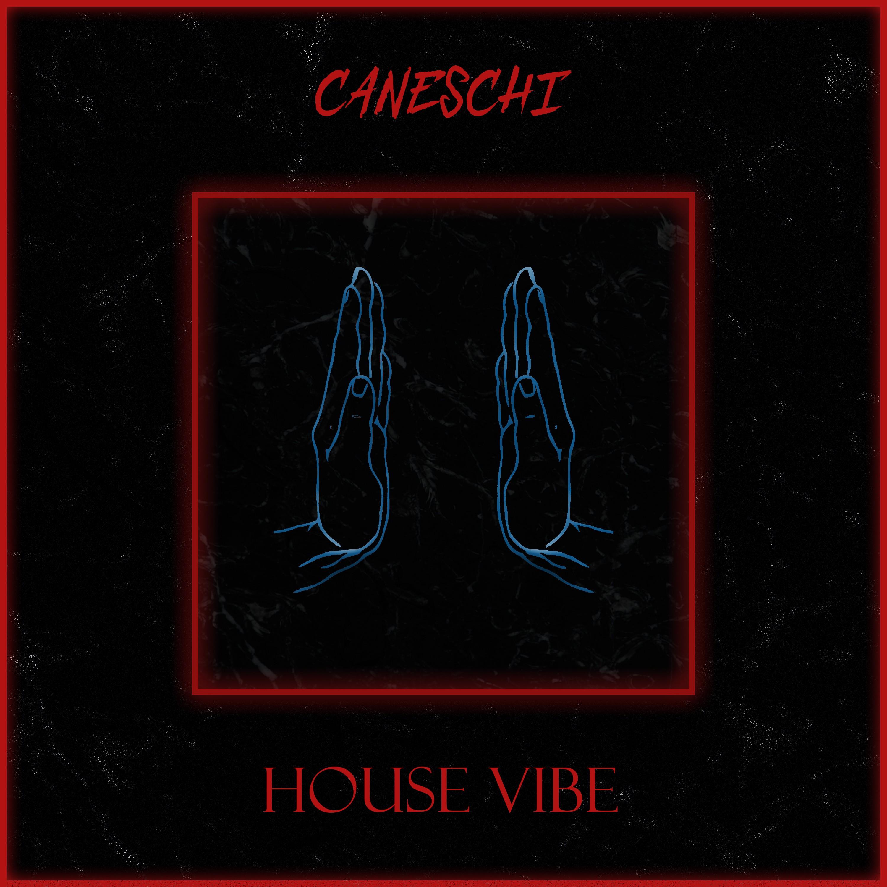 House Vibe