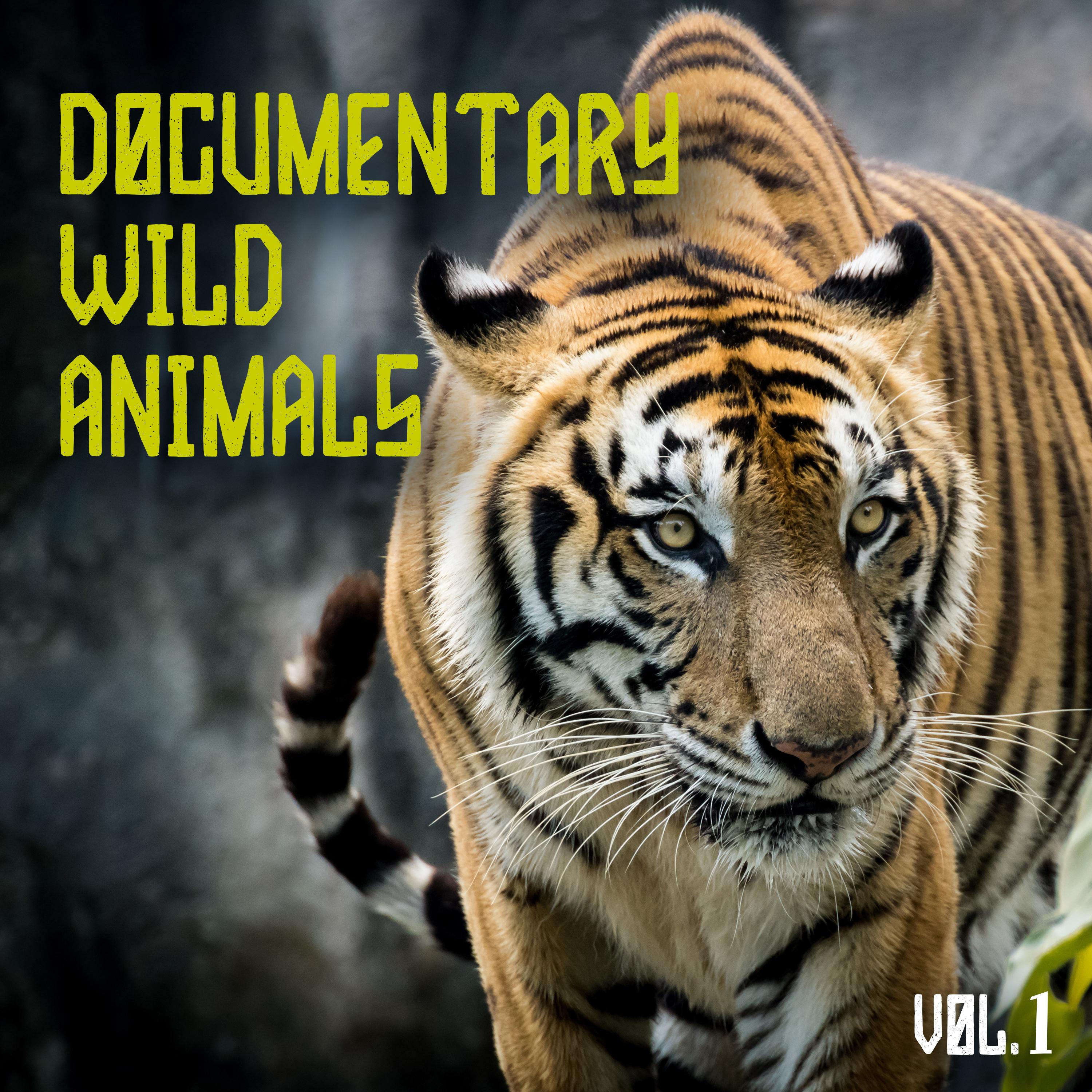 Wild War