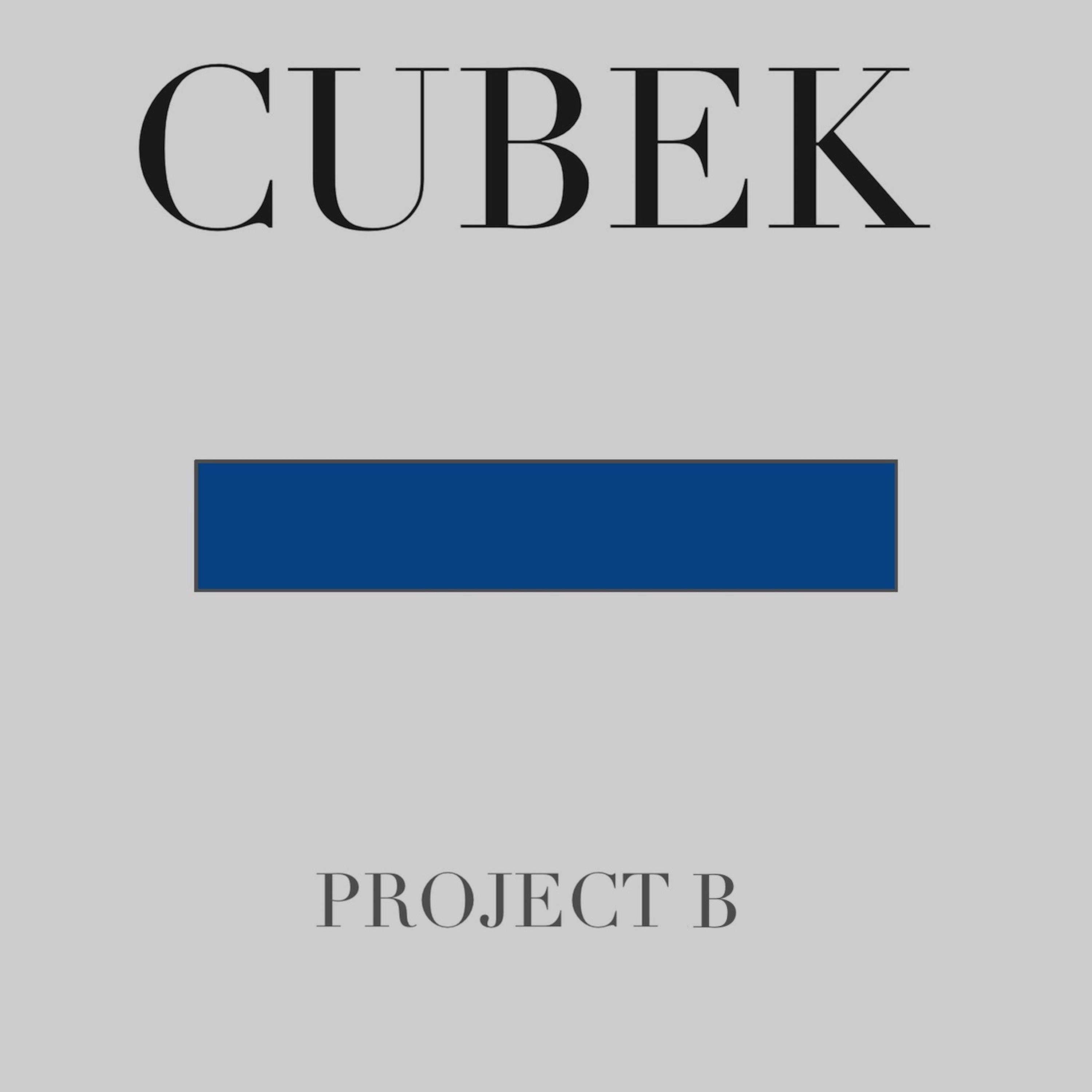 Project B