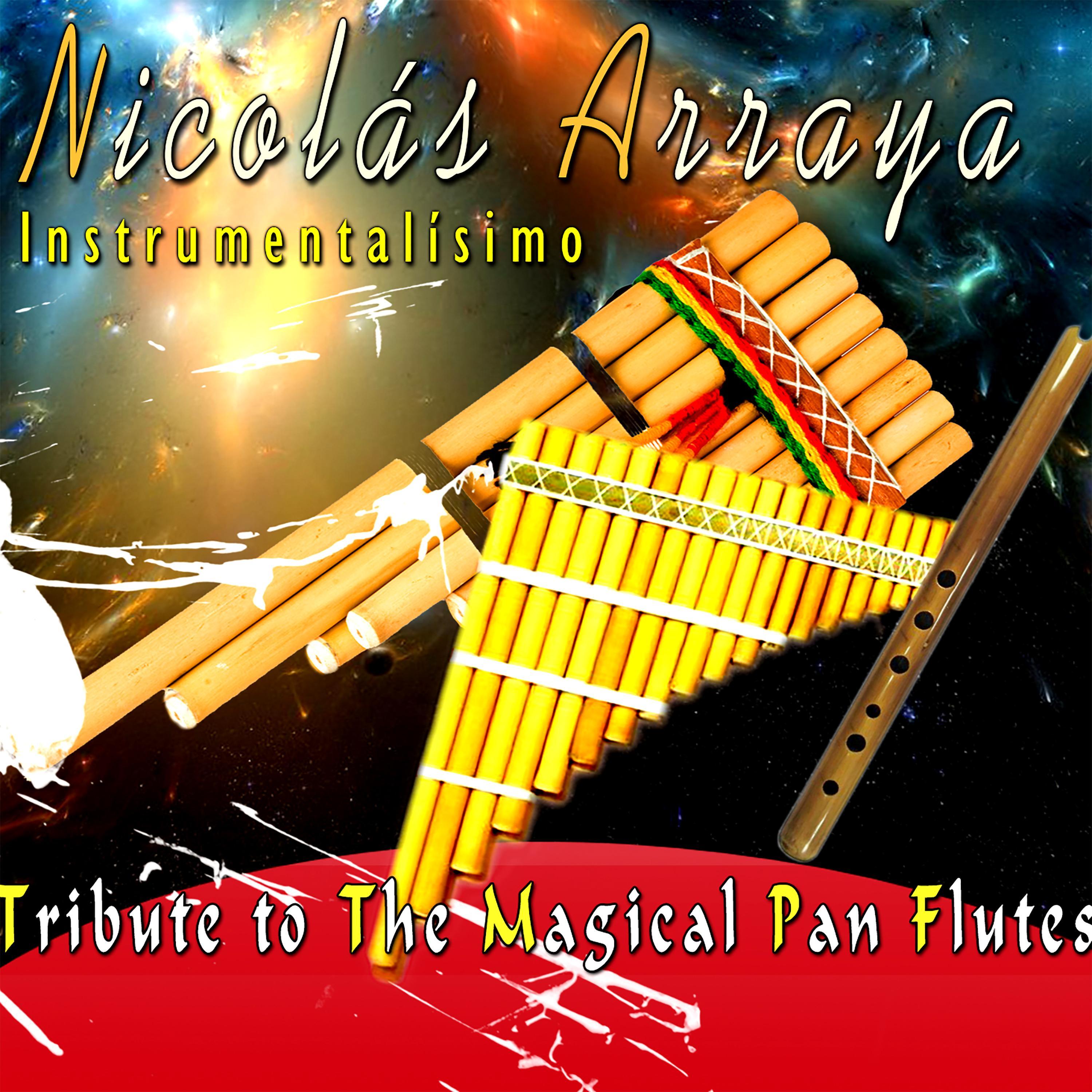 Instrumentali simo