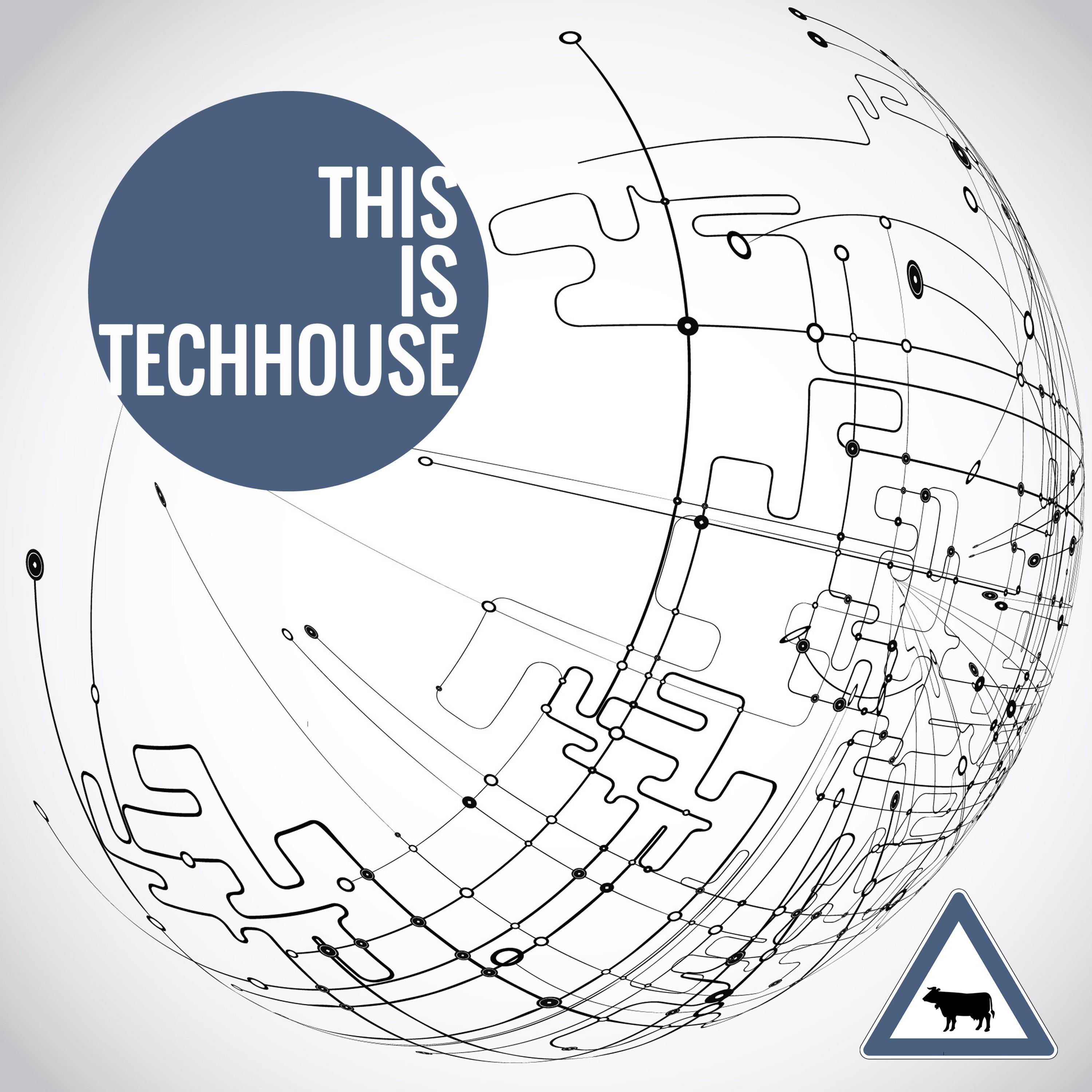 This Is Techhouse
