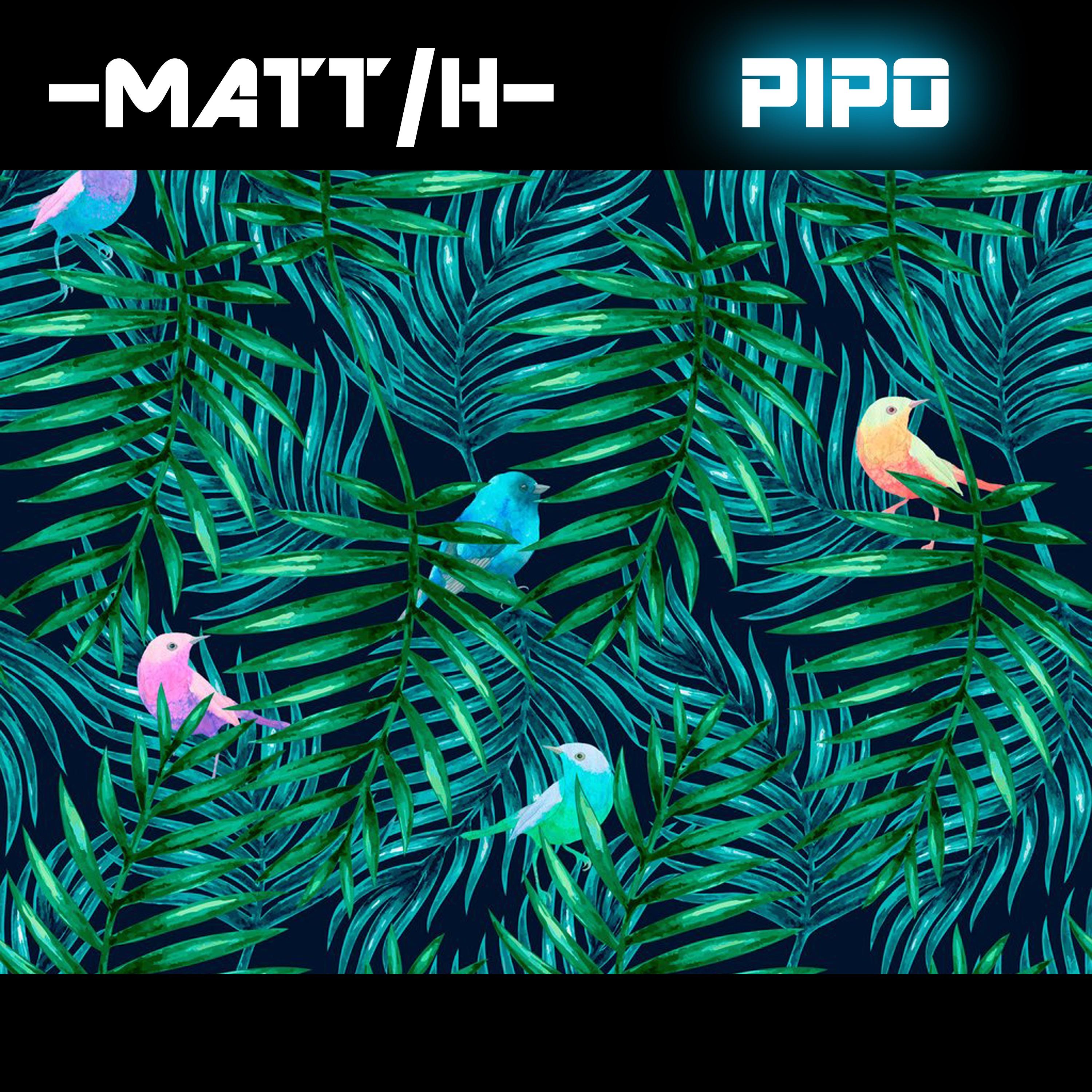 Pipo