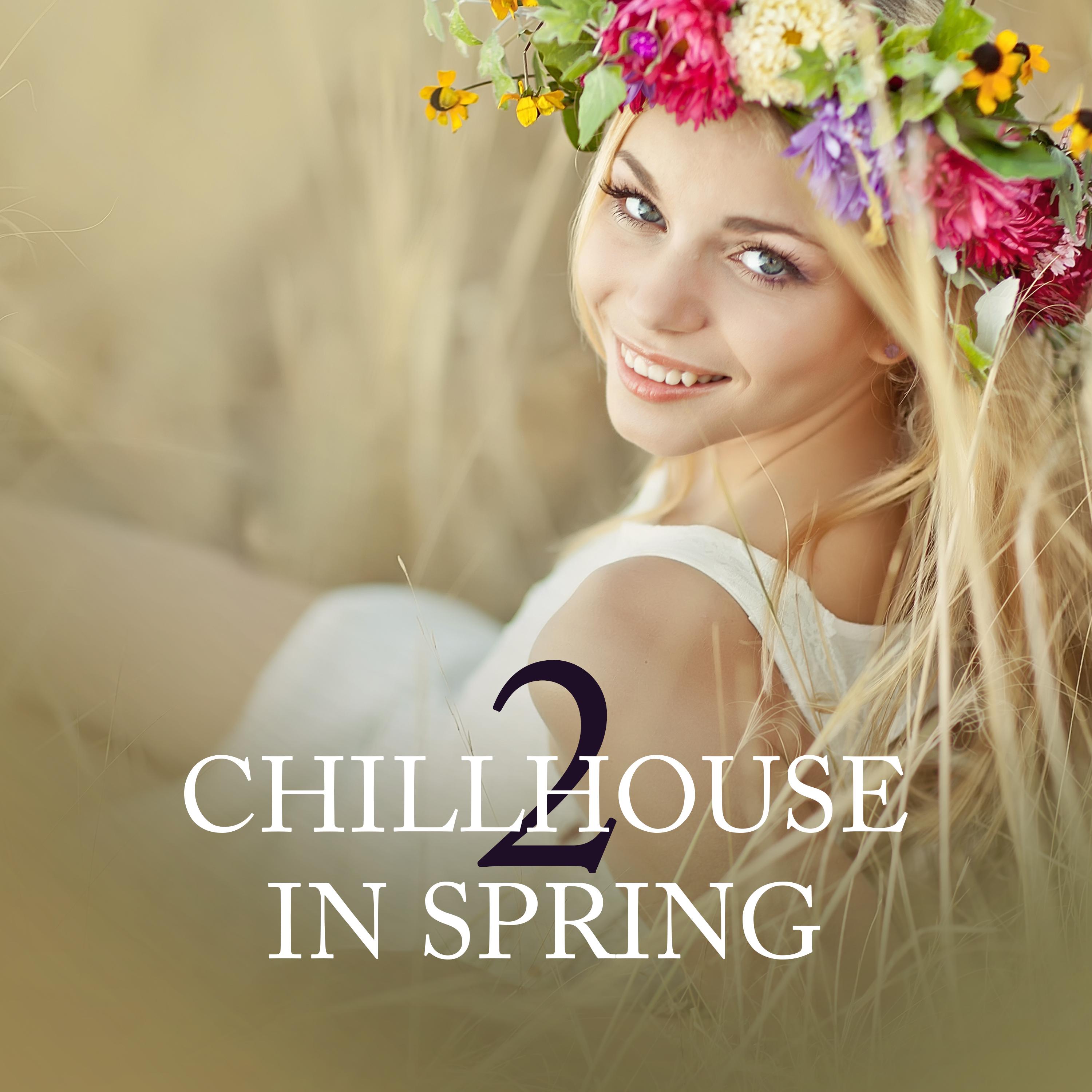 Chillhouse in Spring, Vol. 2