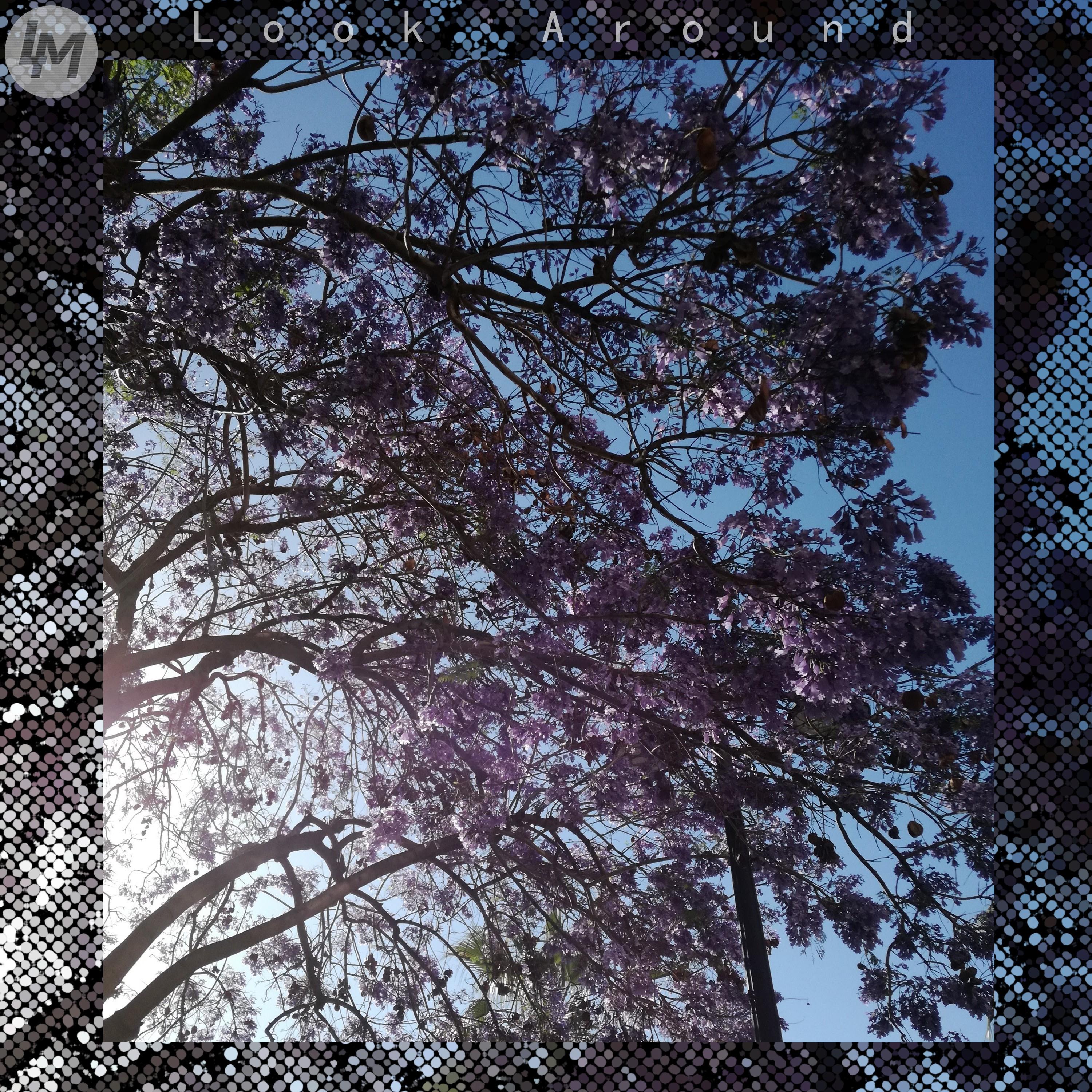Look Around