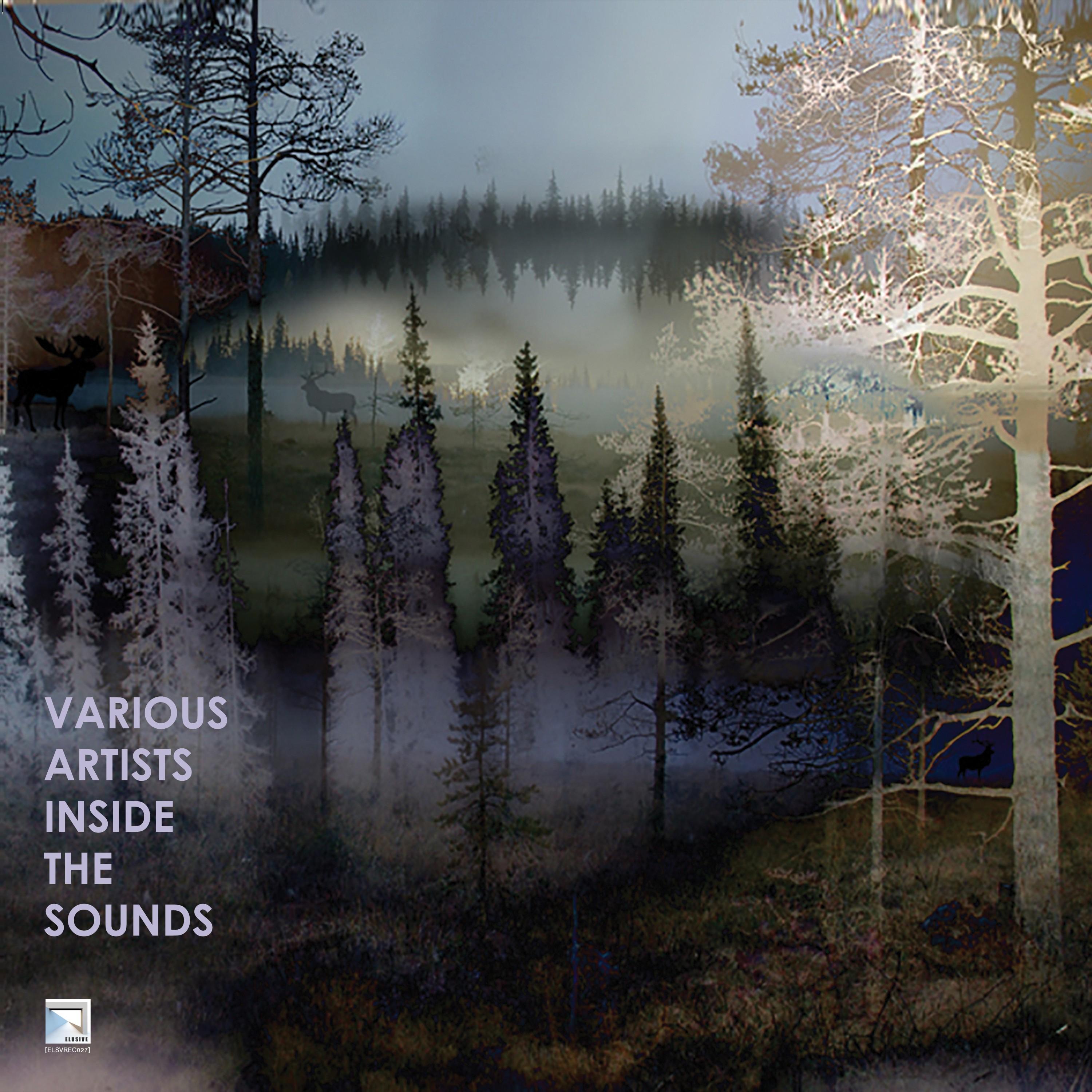 Inside the Sounds