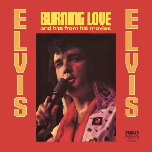 Burning Love and Hits From His Movies Vol.2