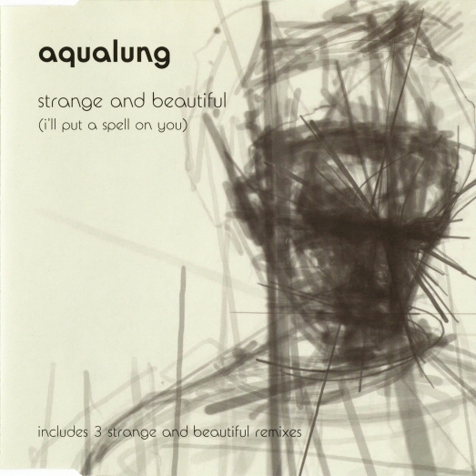 Strange And Beautiful (I'll Put A Spell On You) (Aqualung - Loop Theory Remix)