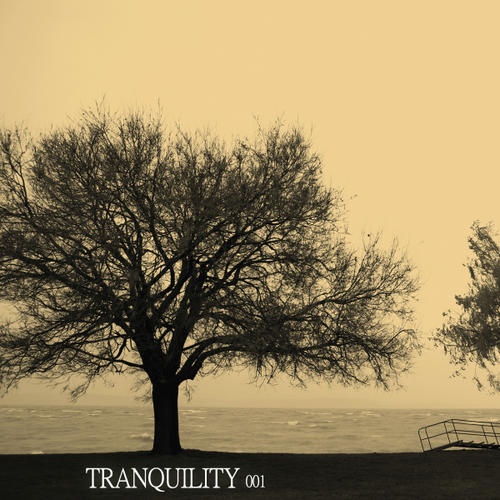 Tranquility 001