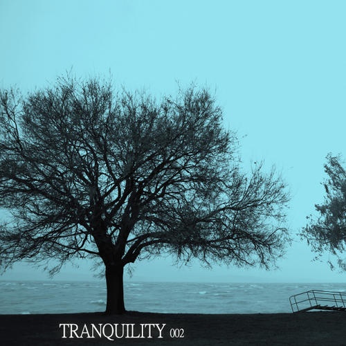 Tranquility 002