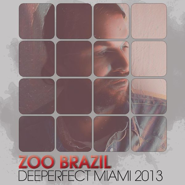 Flash (Zoo Brazil Remix)