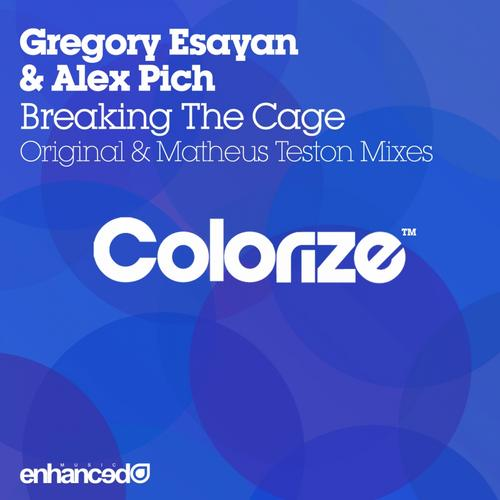 Breaking The Cage (Original Mix)