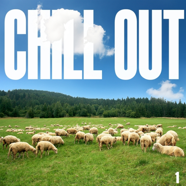 Chill Out Vol. 1 (Brownsville Ambient White Sheep Pre Election)