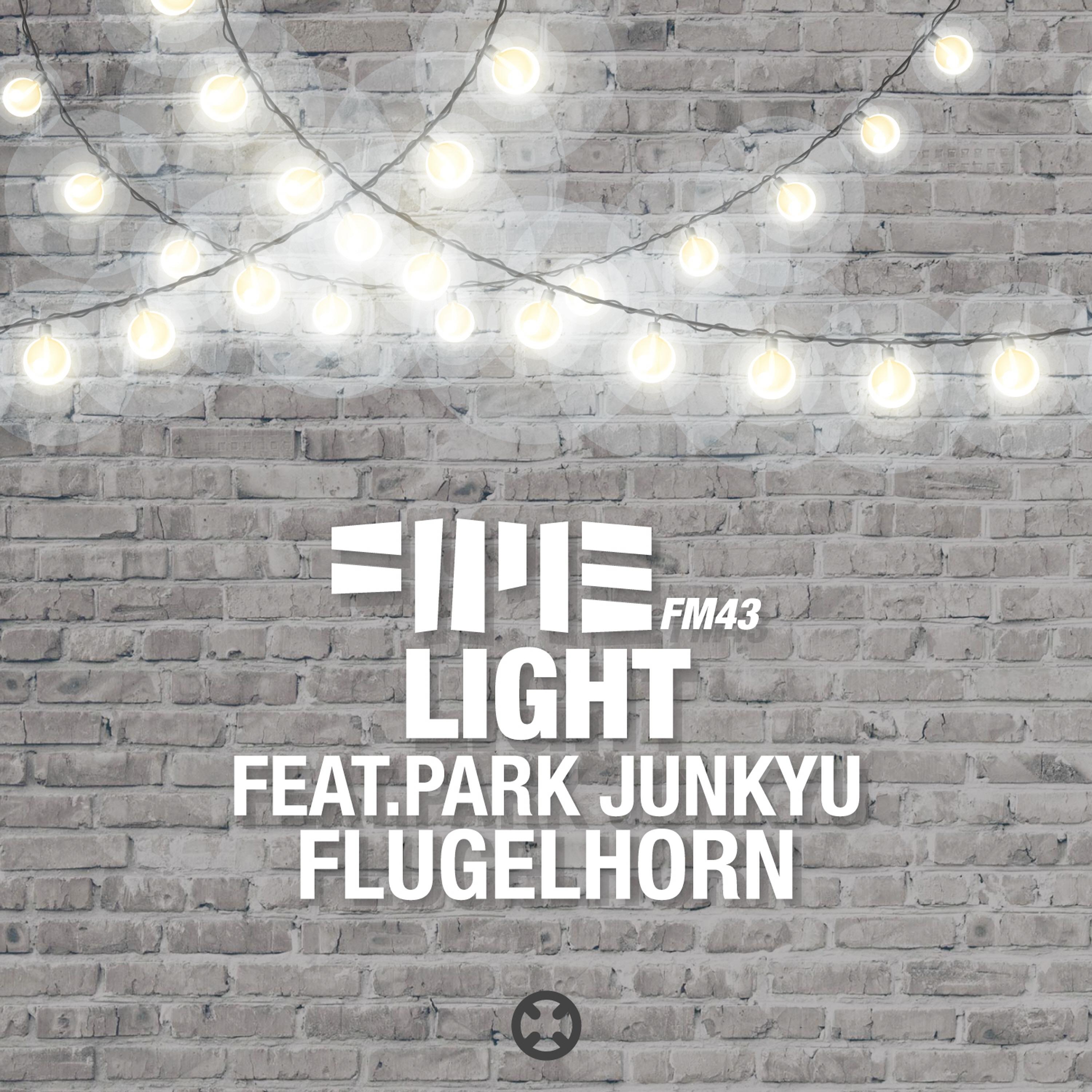 Light