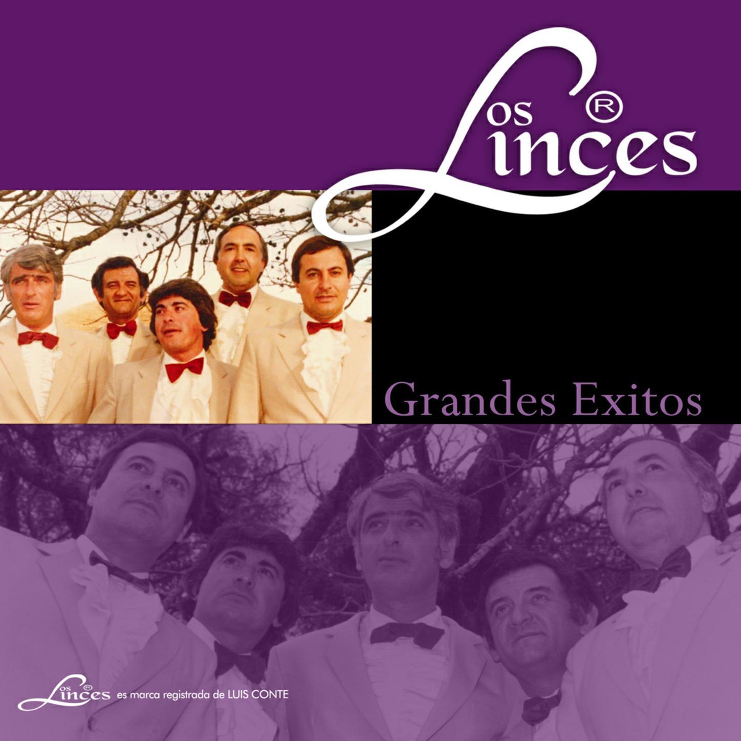 Rosas Rojas