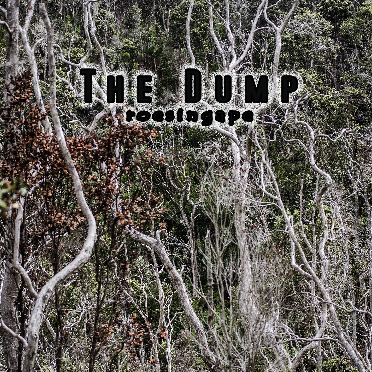 The Dump