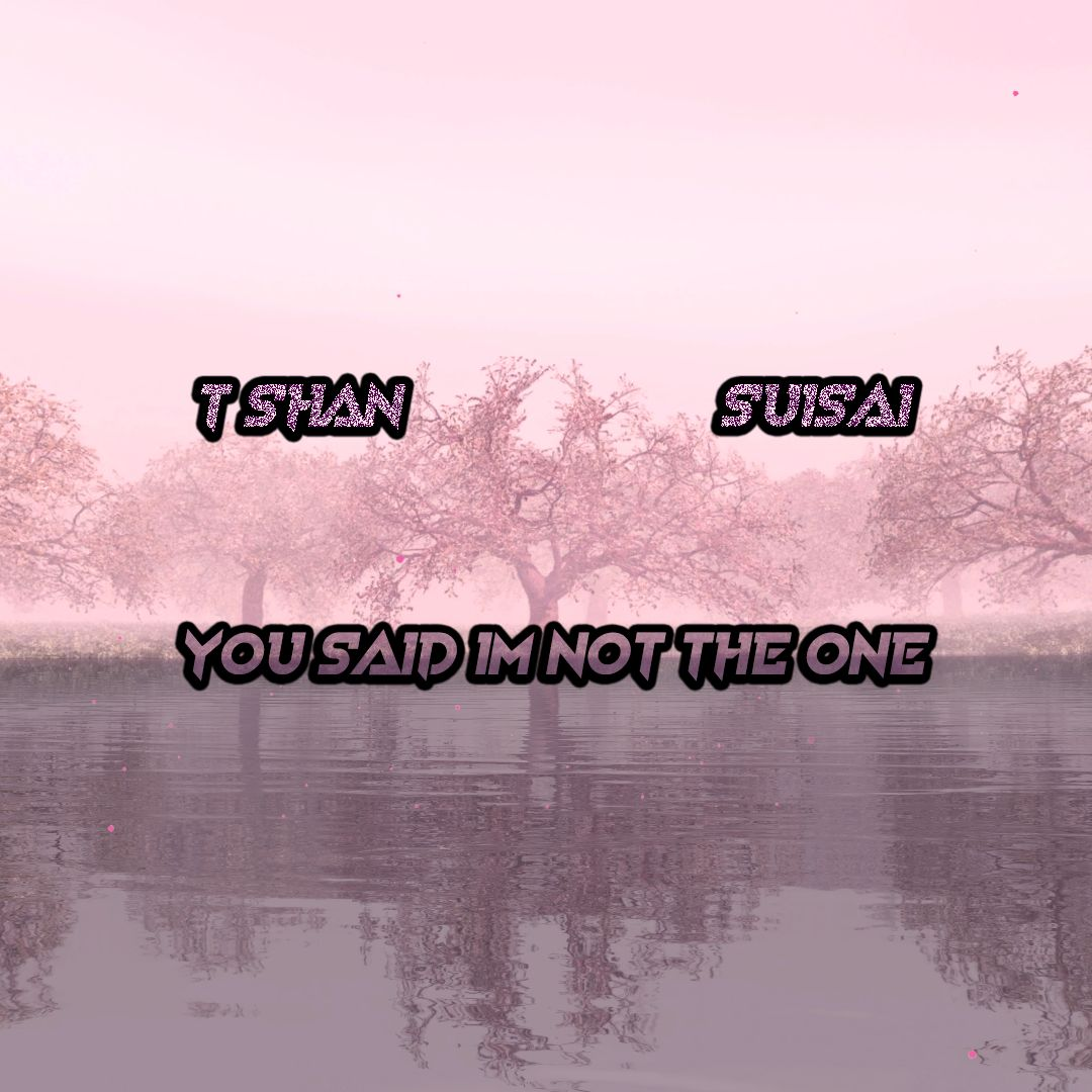 You Said Im Not The One