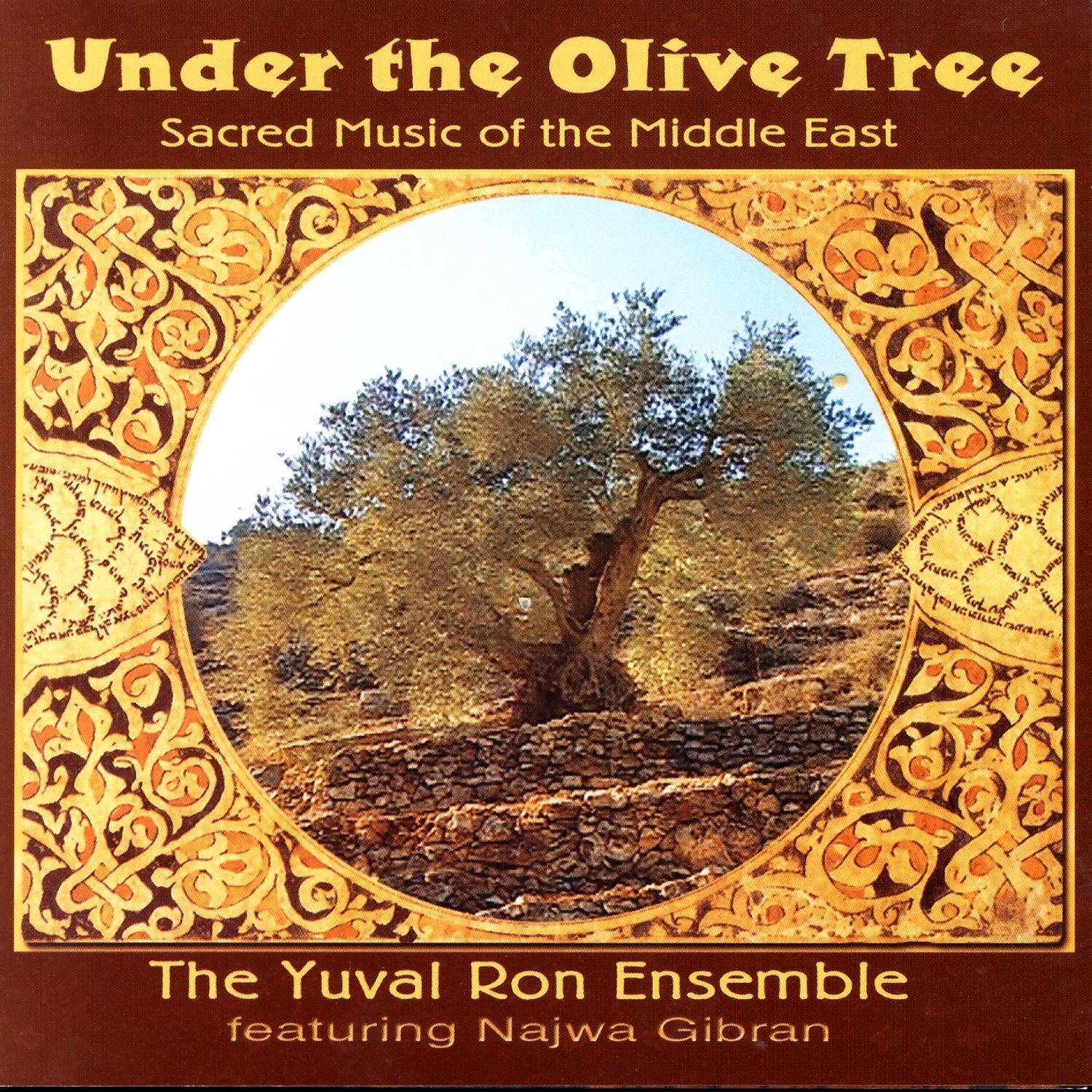 Under the Olive Tree